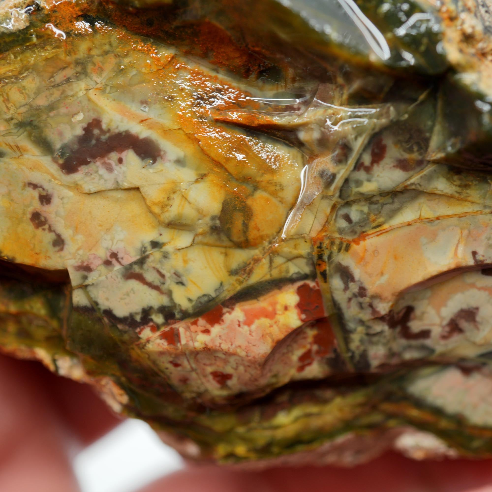 Morrisonite Jasper Rough - Old Stock Unique Pattern with Interesting Structures