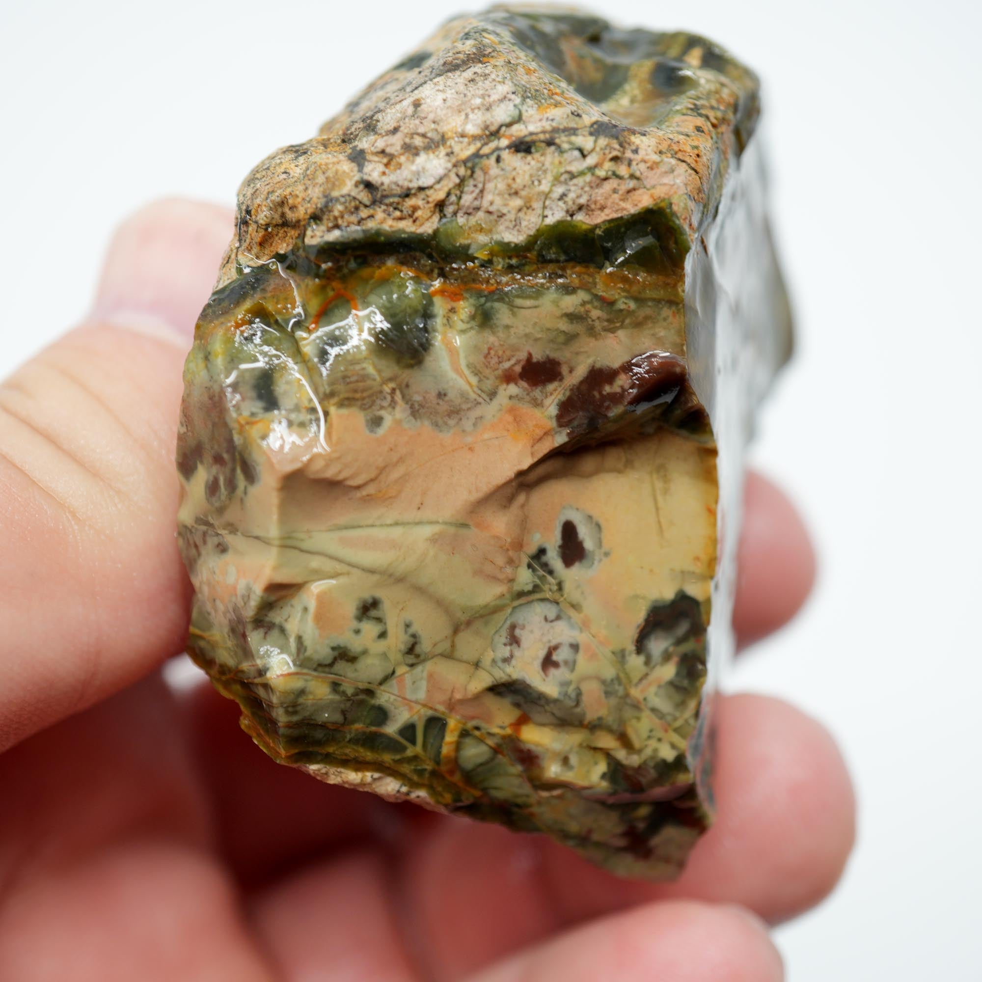 Morrisonite Jasper Rough - Old Stock Unique Pattern with Interesting Structures