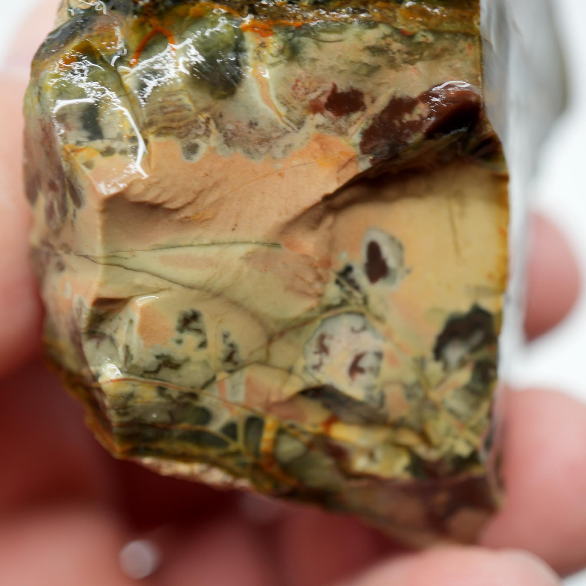 Morrisonite Jasper Rough - Old Stock Unique Pattern with Interesting Structures