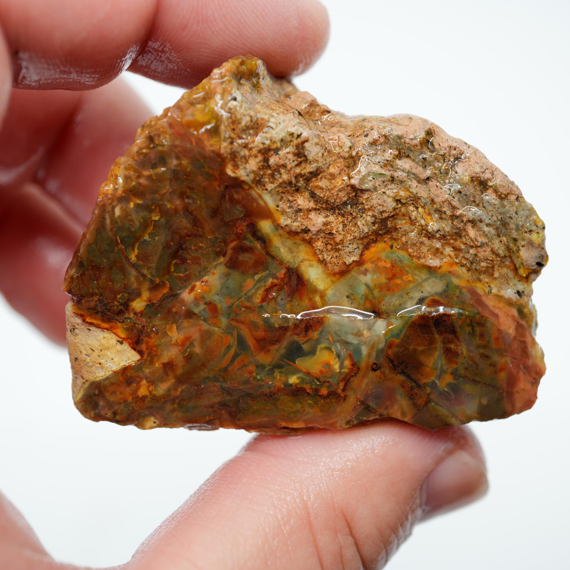 Morrisonite Jasper Rough - Bright Green Blue Windows with Healed Fracture Marked Down