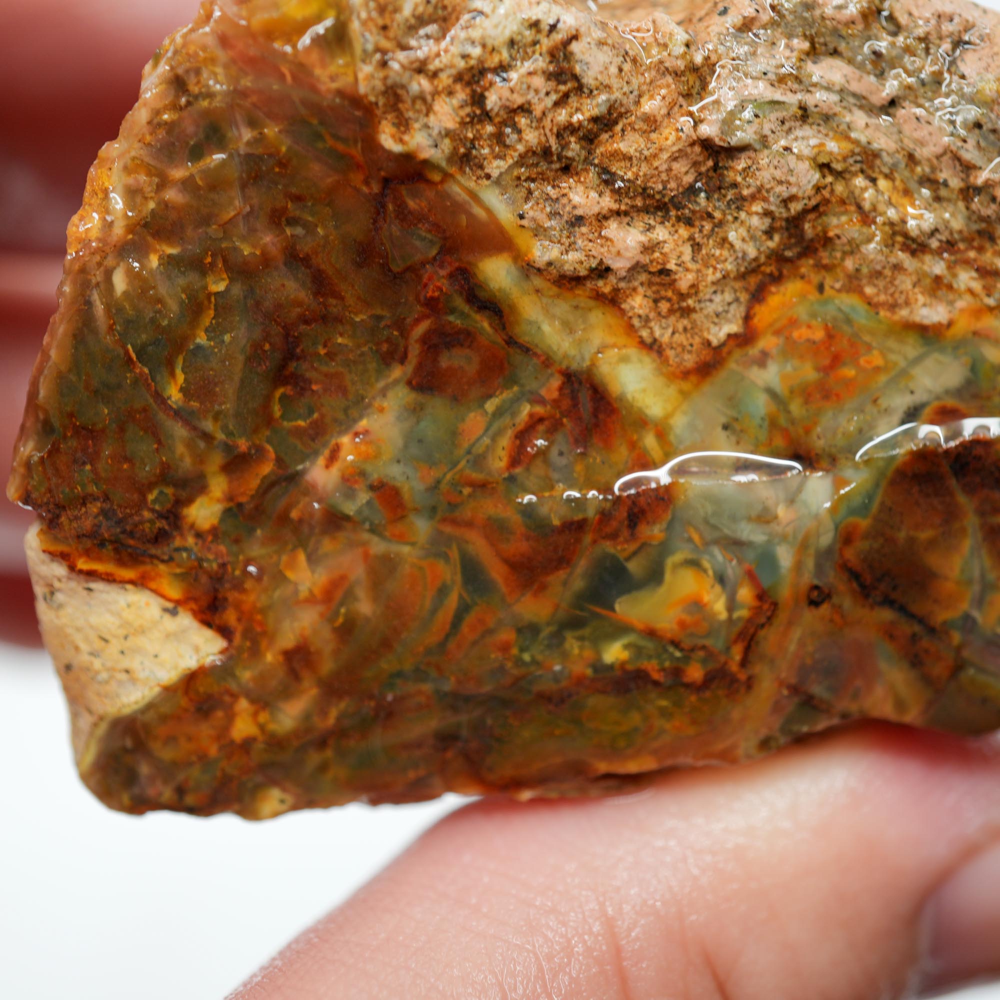 Morrisonite Jasper Rough - Bright Green Blue Windows with Healed Fracture Marked Down