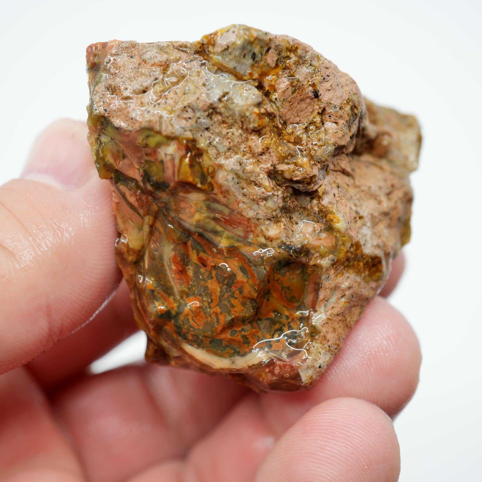 Morrisonite Jasper Rough - Bright Green Blue Windows with Healed Fracture Marked Down