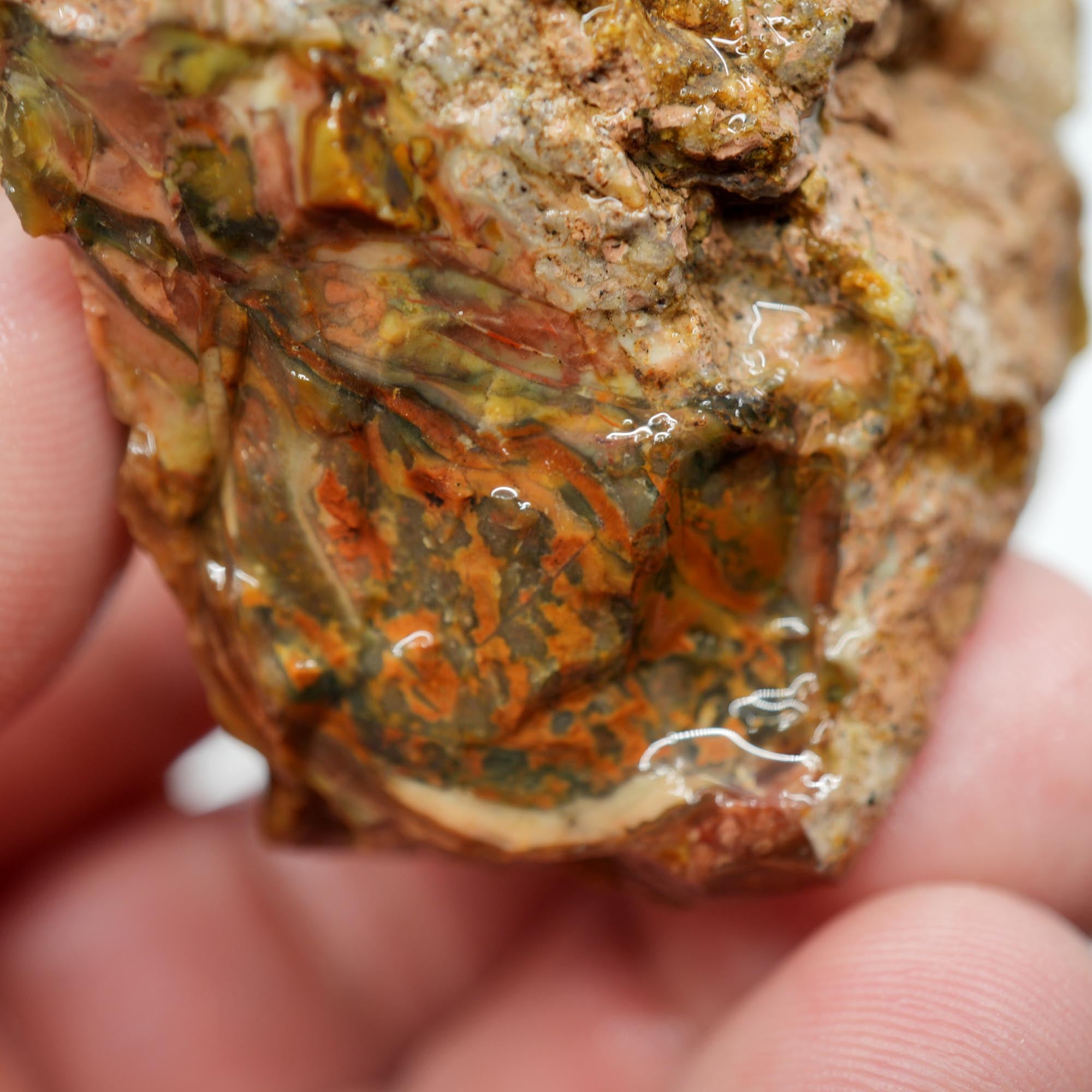 Morrisonite Jasper Rough - Bright Green Blue Windows with Healed Fracture Marked Down