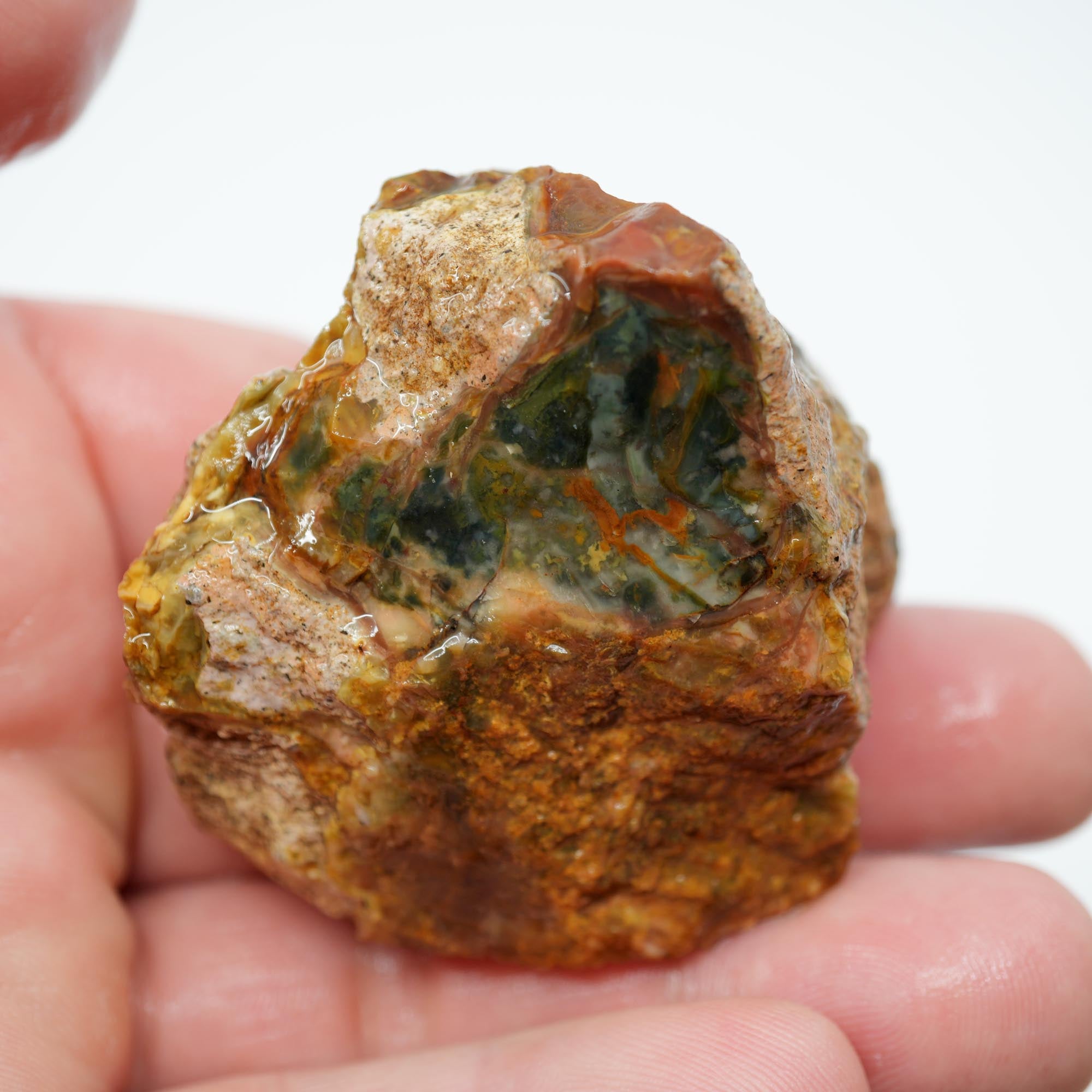Morrisonite Jasper Rough - Bright Green Blue Windows with Healed Fracture Marked Down