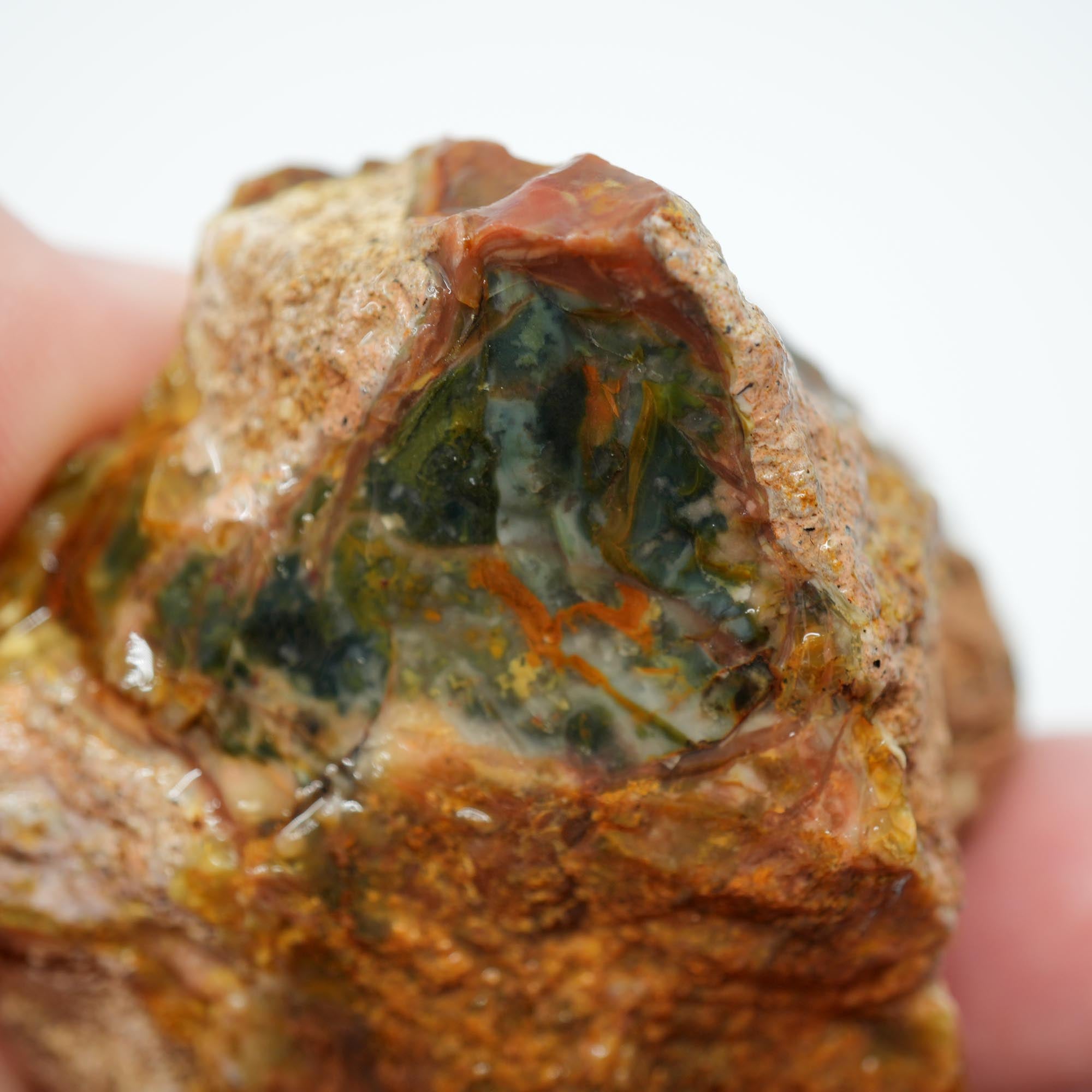 Morrisonite Jasper Rough - Bright Green Blue Windows with Healed Fracture Marked Down