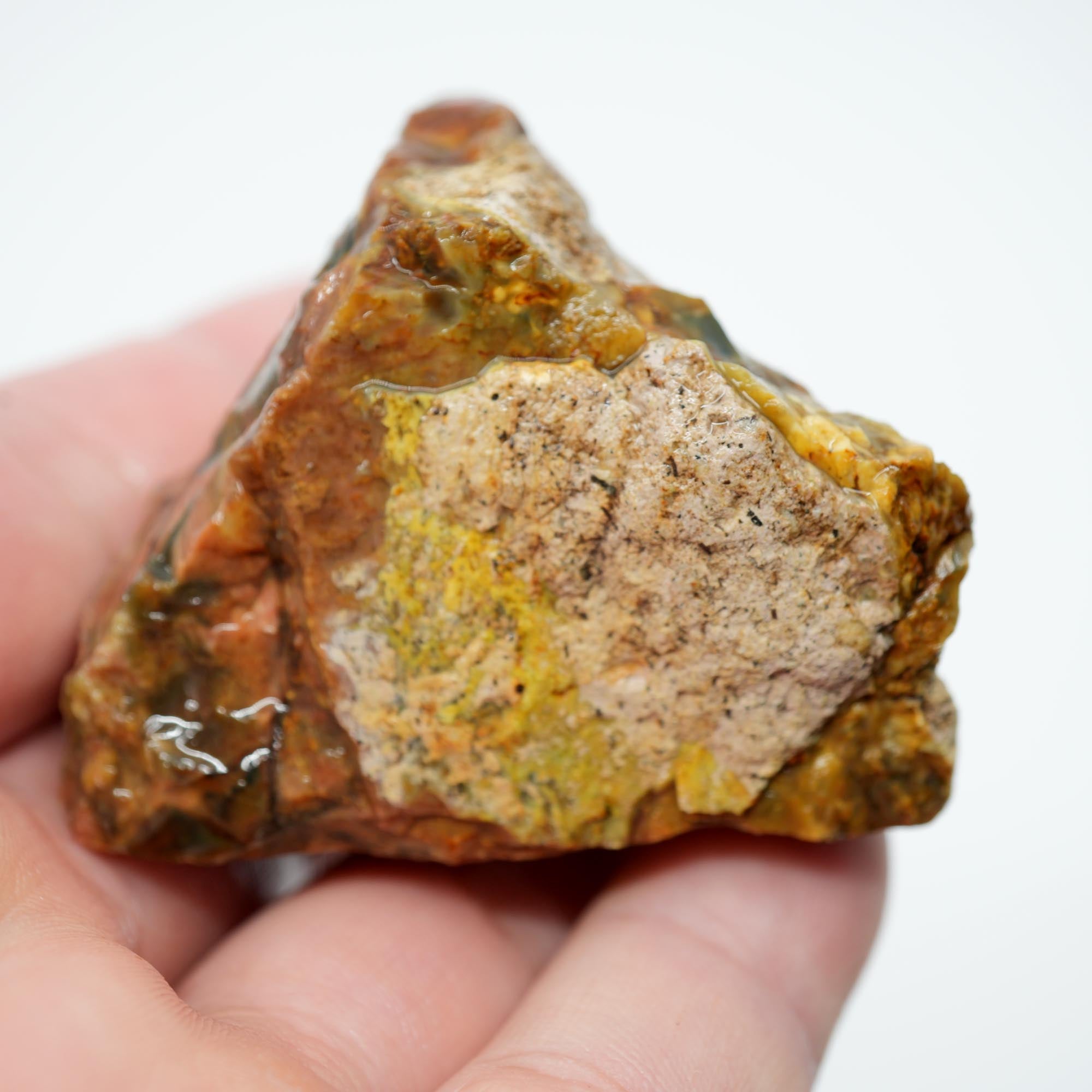 Morrisonite Jasper Rough - Bright Green Blue Windows with Healed Fracture Marked Down