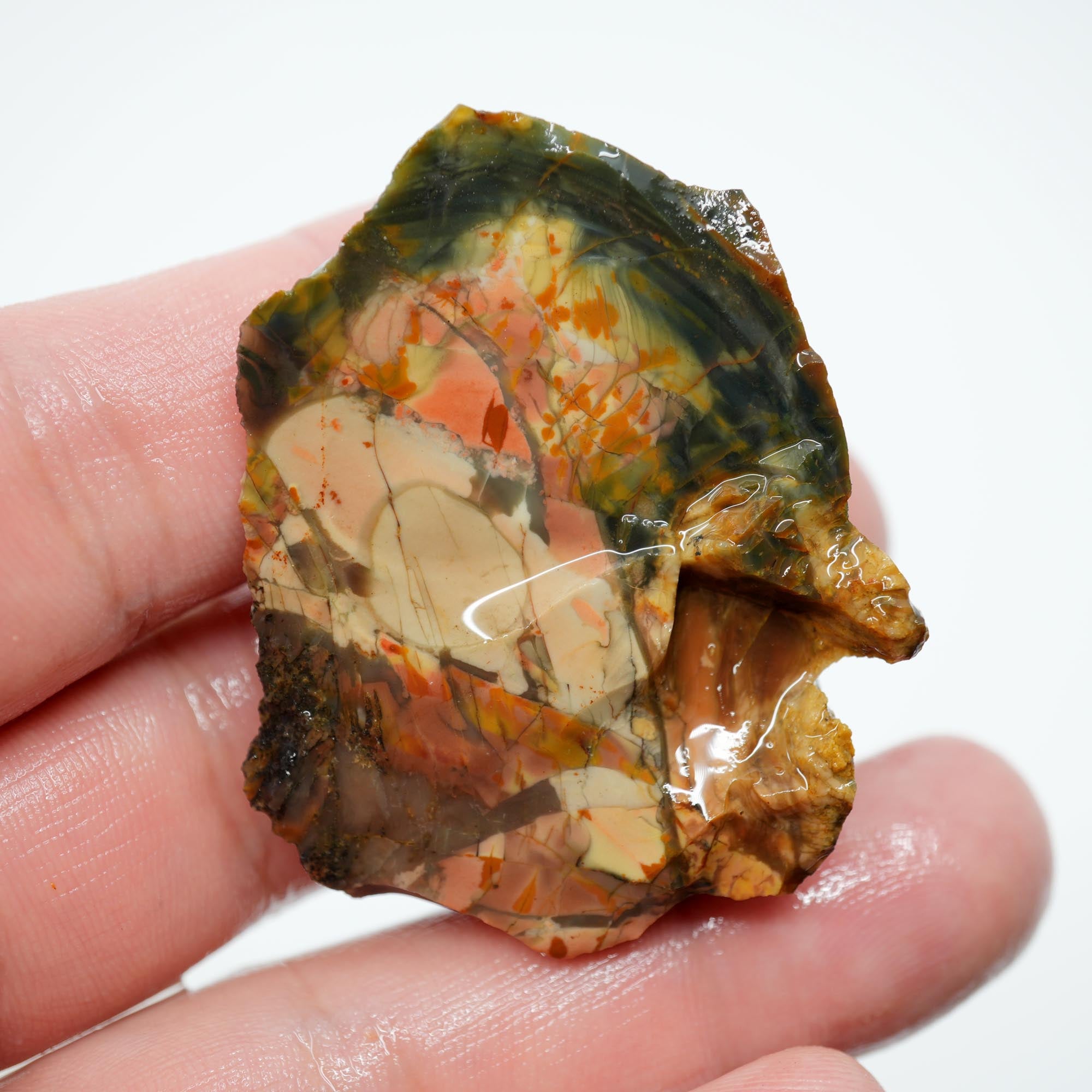 Morrisonite Jasper Rough - High-Grade Orbicular Pink and Blue Free-Form Cab Piece