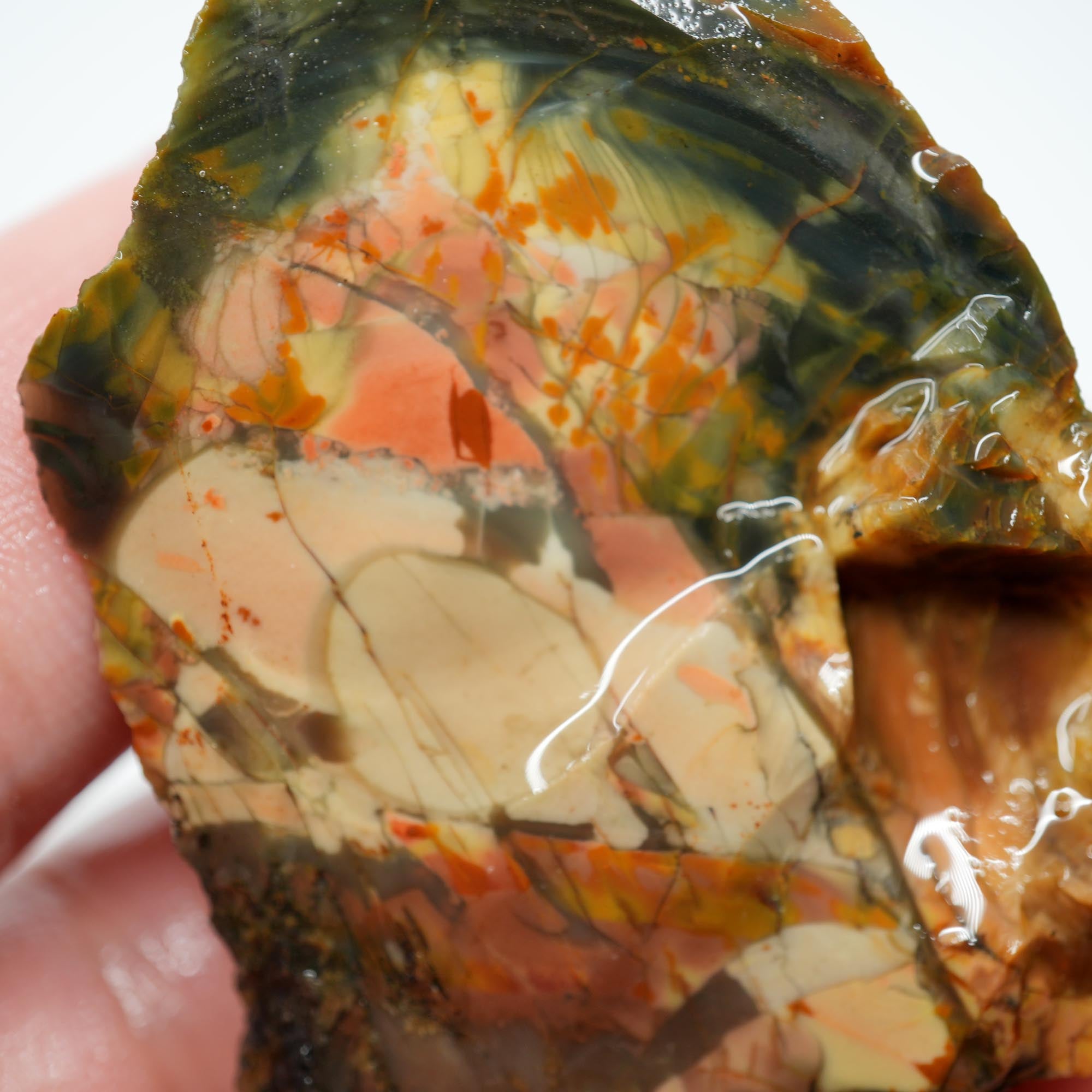 Morrisonite Jasper Rough - High-Grade Orbicular Pink and Blue Free-Form Cab Piece