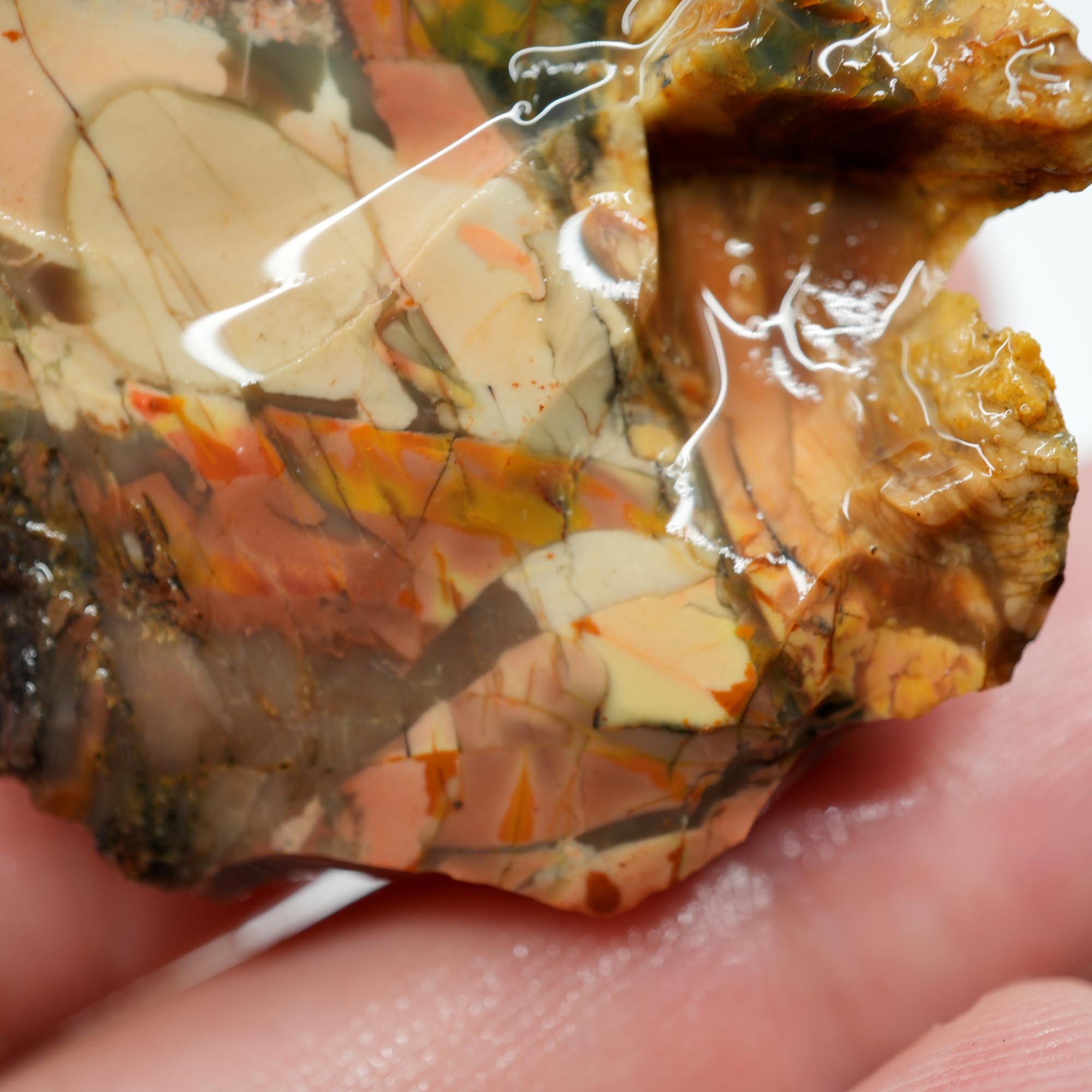 Morrisonite Jasper Rough - High-Grade Orbicular Pink and Blue Free-Form Cab Piece