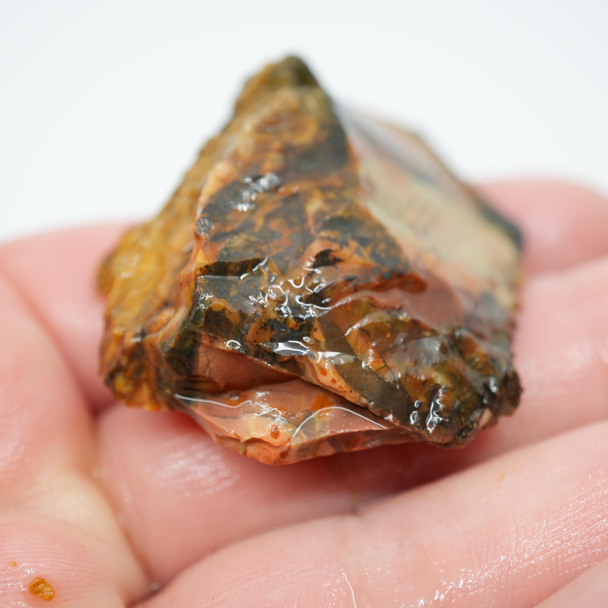 Morrisonite Jasper Rough - High-Grade Orbicular Pink and Blue Free-Form Cab Piece