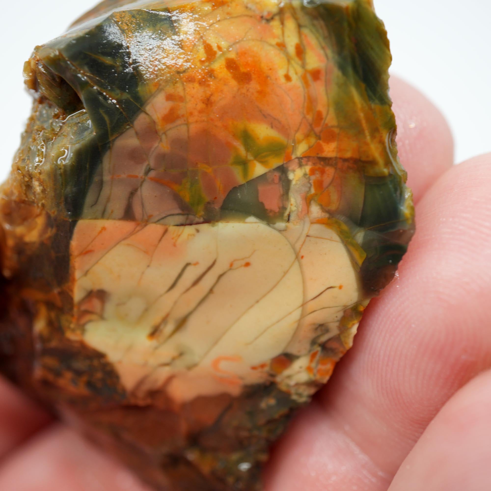 Morrisonite Jasper Rough - High-Grade Orbicular Pink and Blue Free-Form Cab Piece