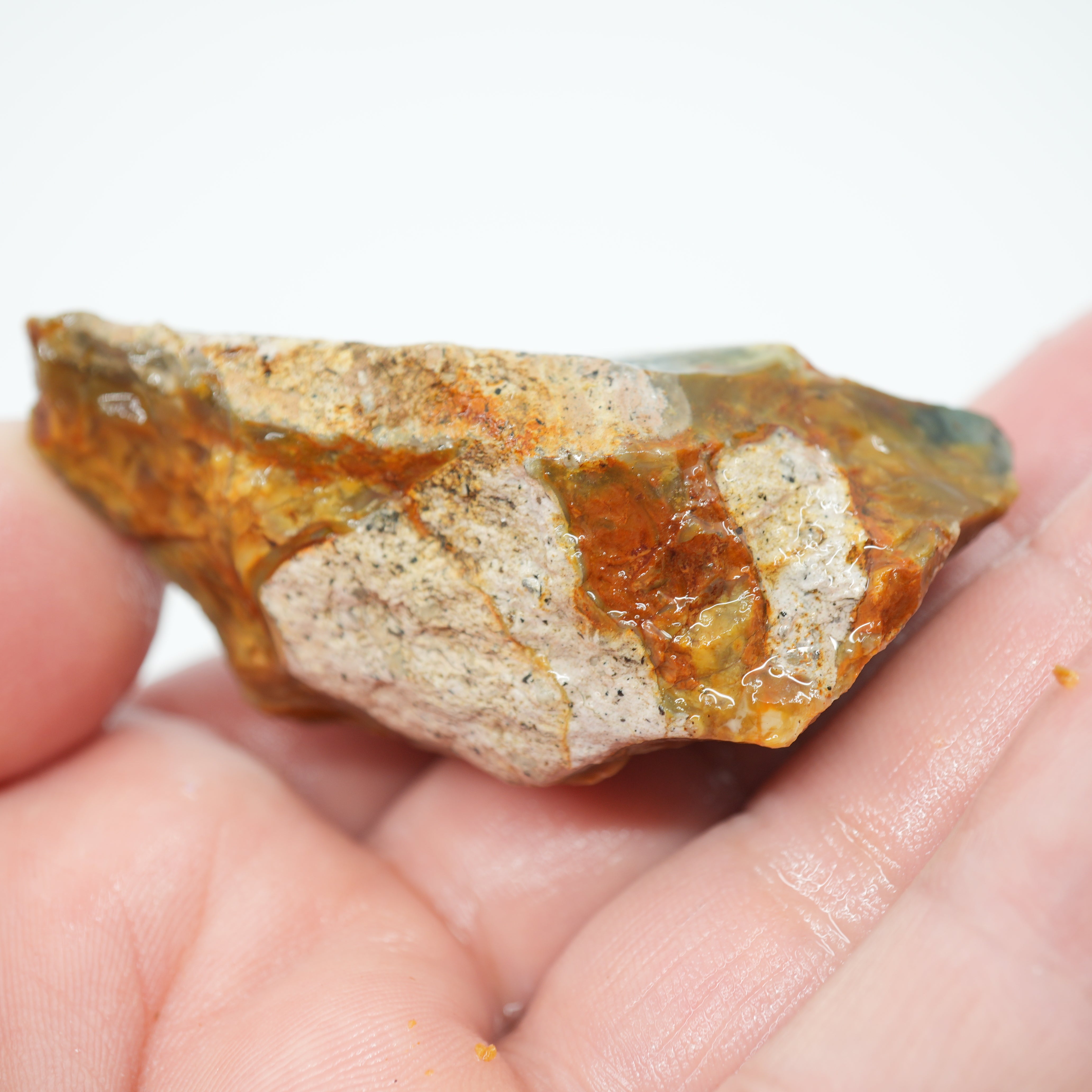 Morrisonite Jasper Rough - Green Jasper with Rolling Hills Pattern