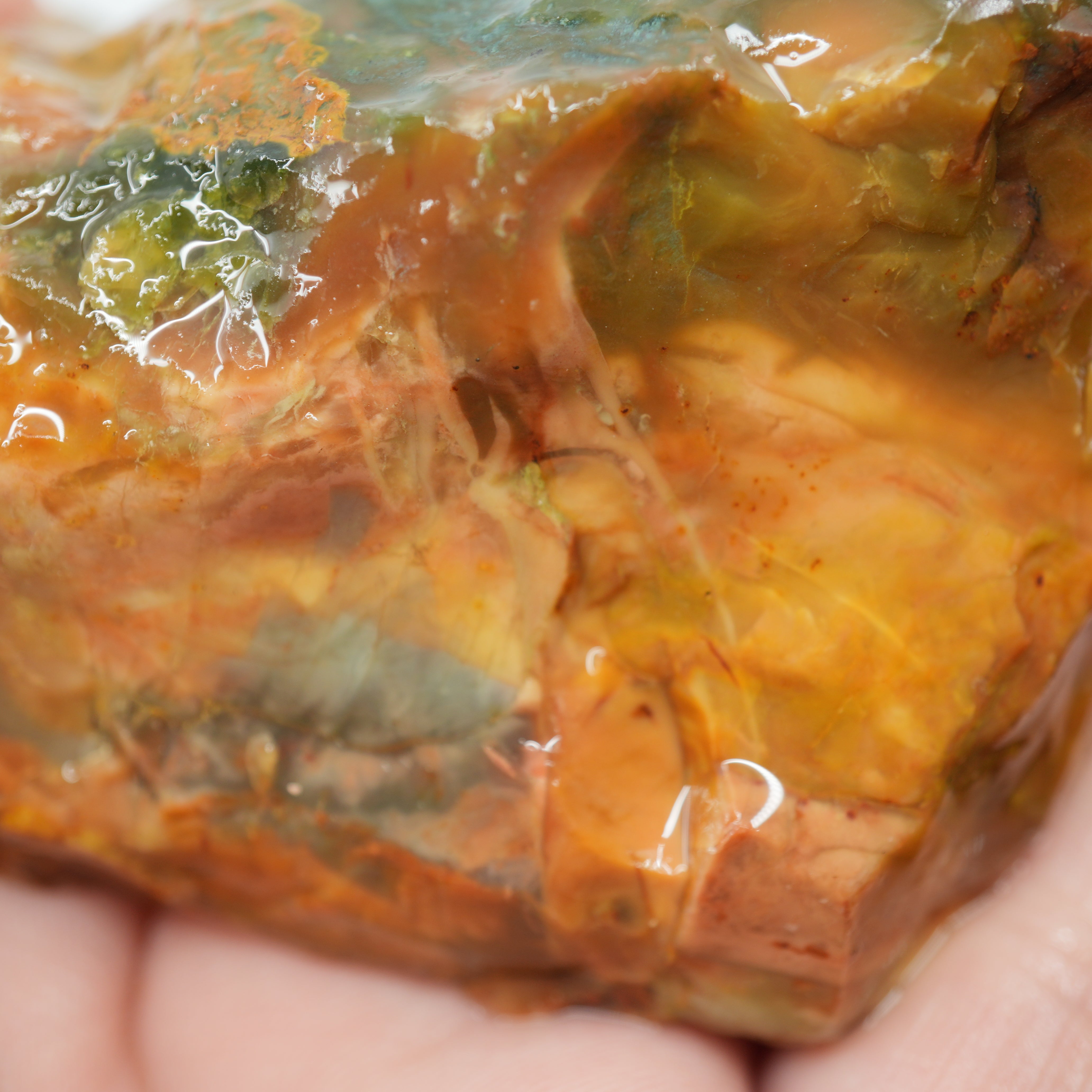 Morrisonite Jasper Rough - Blue Green Pink and Buckskin Coloration