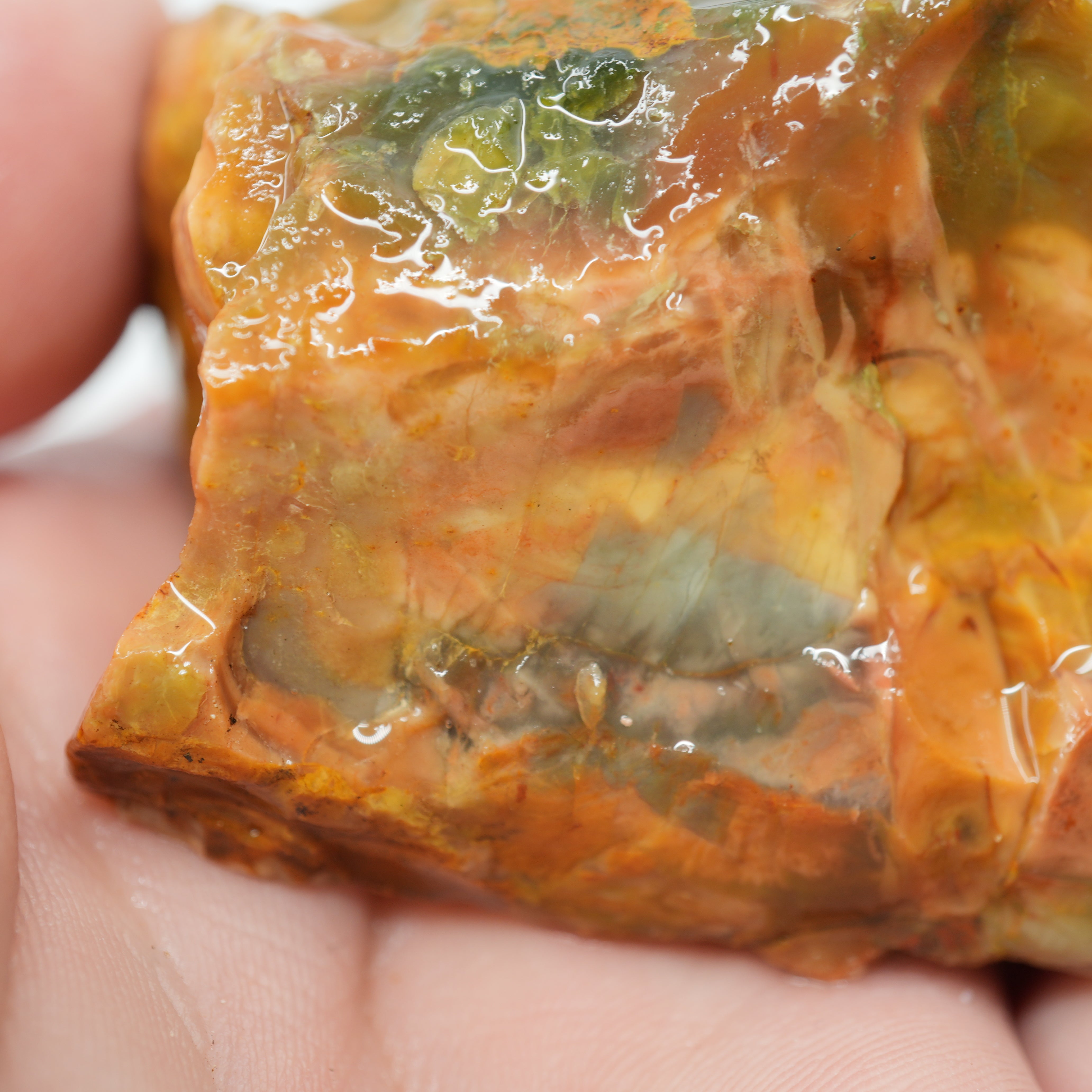 Morrisonite Jasper Rough - Blue Green Pink and Buckskin Coloration