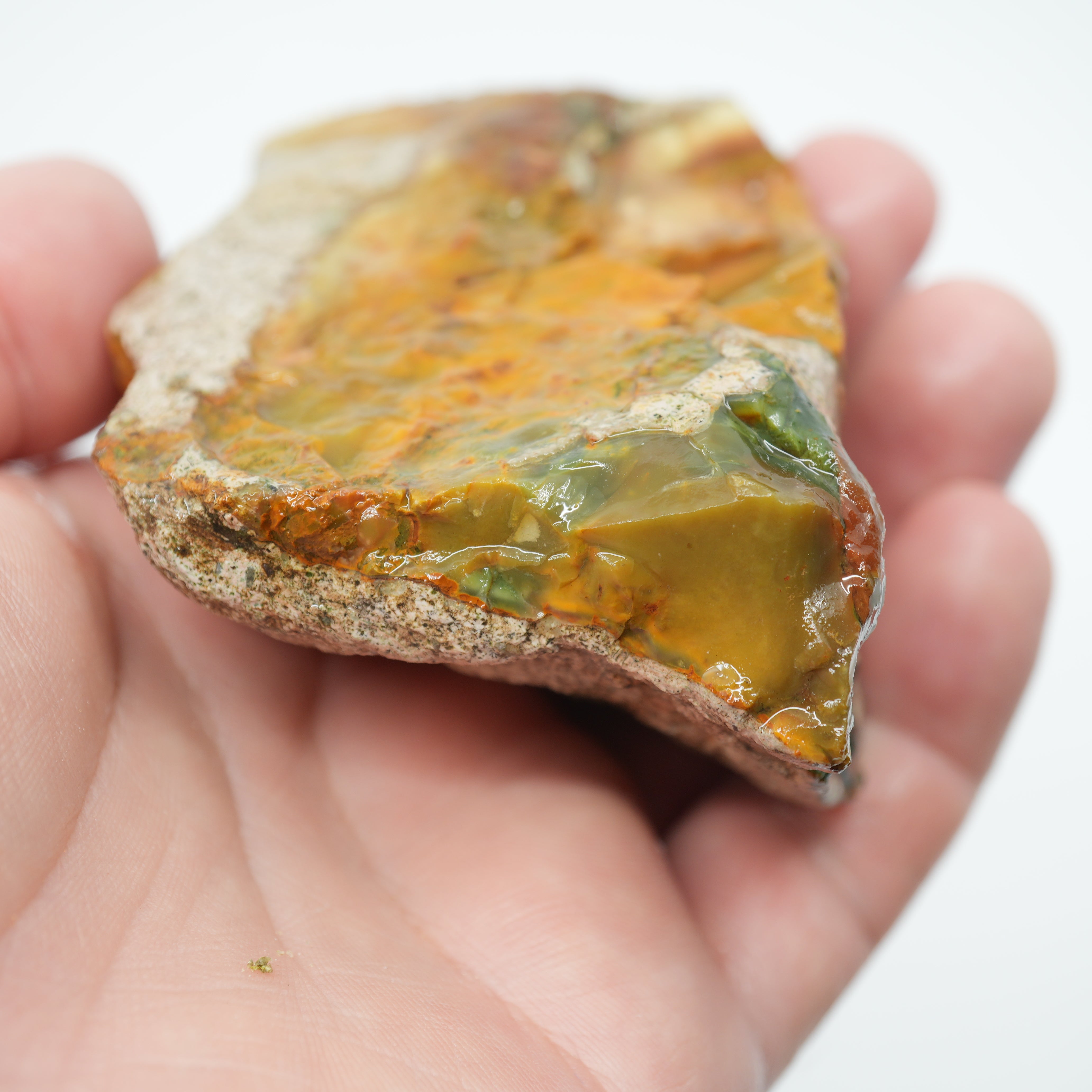 Morrisonite Jasper Rough - Blue Green Pink and Buckskin Coloration