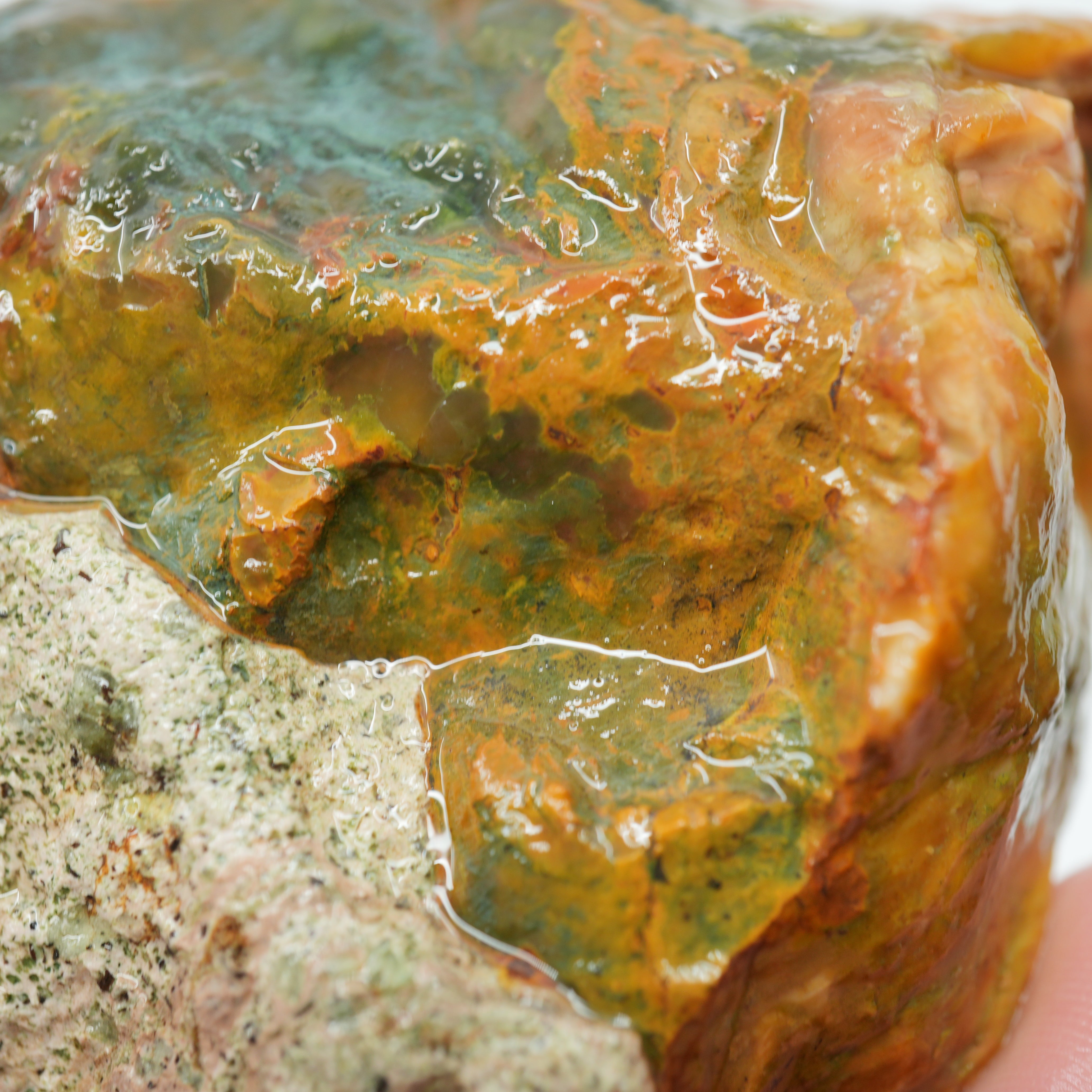 Morrisonite Jasper Rough - Blue Green Pink and Buckskin Coloration