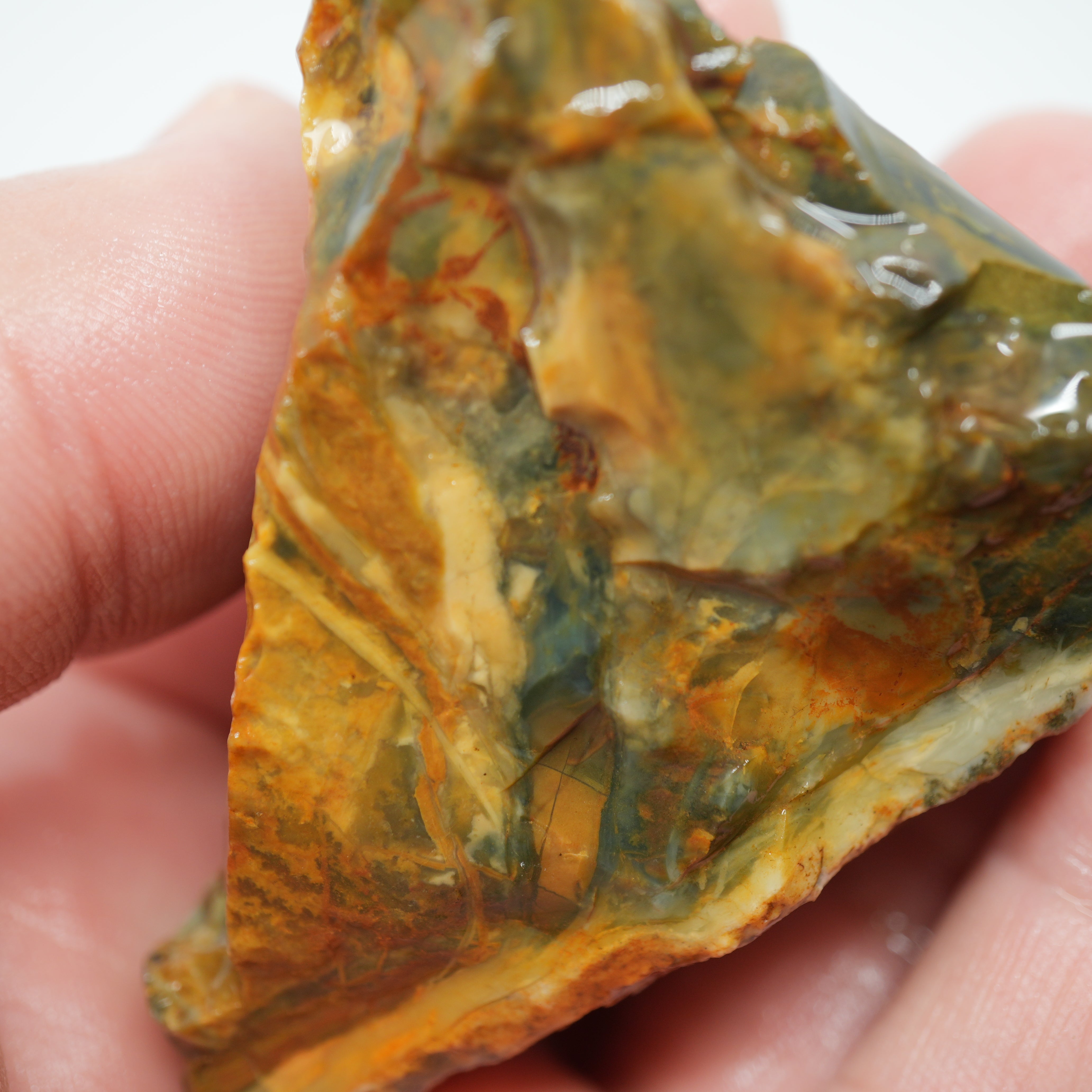 Morrisonite Jasper Rough - Unique Streamer Pattern Under Skin