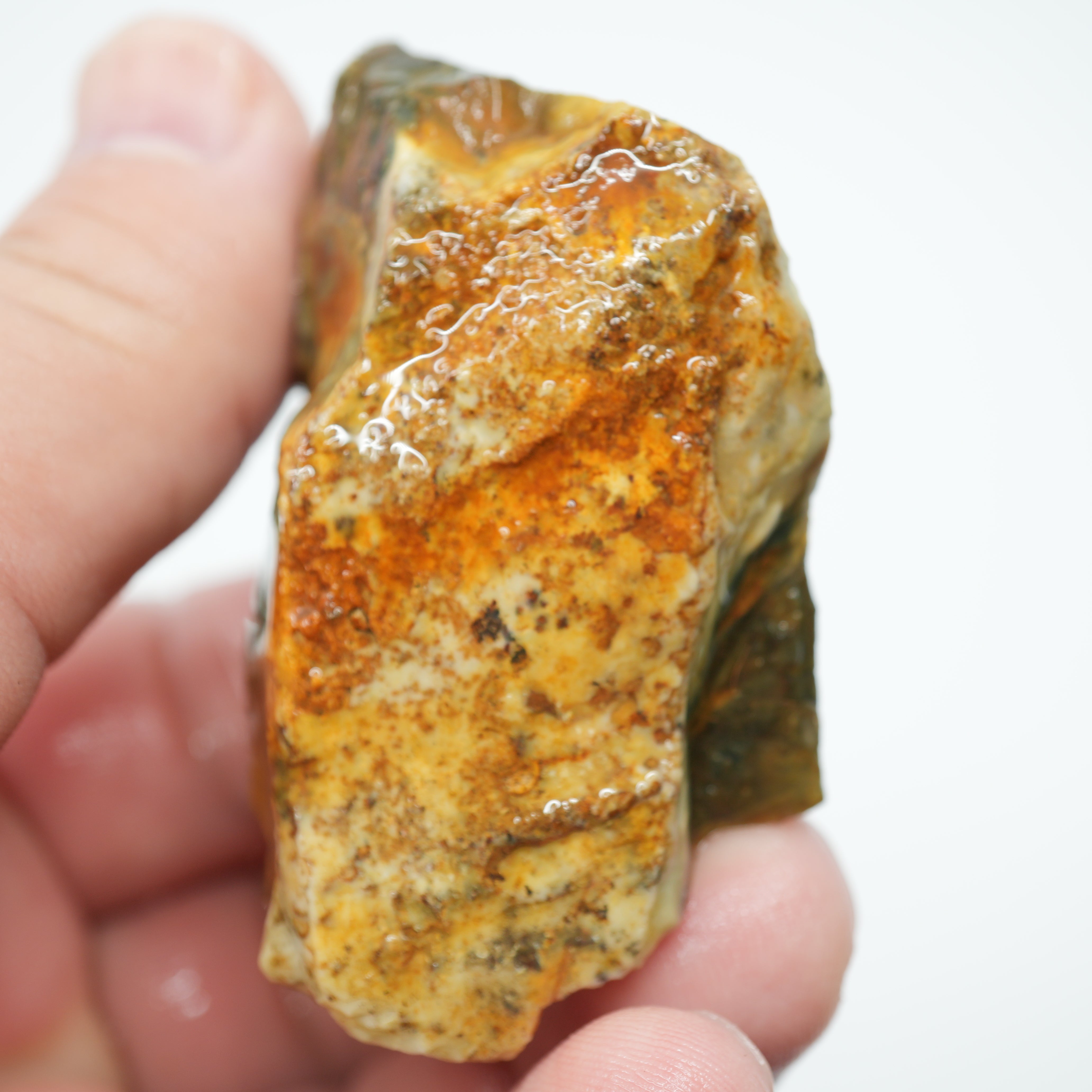 Morrisonite Jasper Rough - Unique Streamer Pattern Under Skin