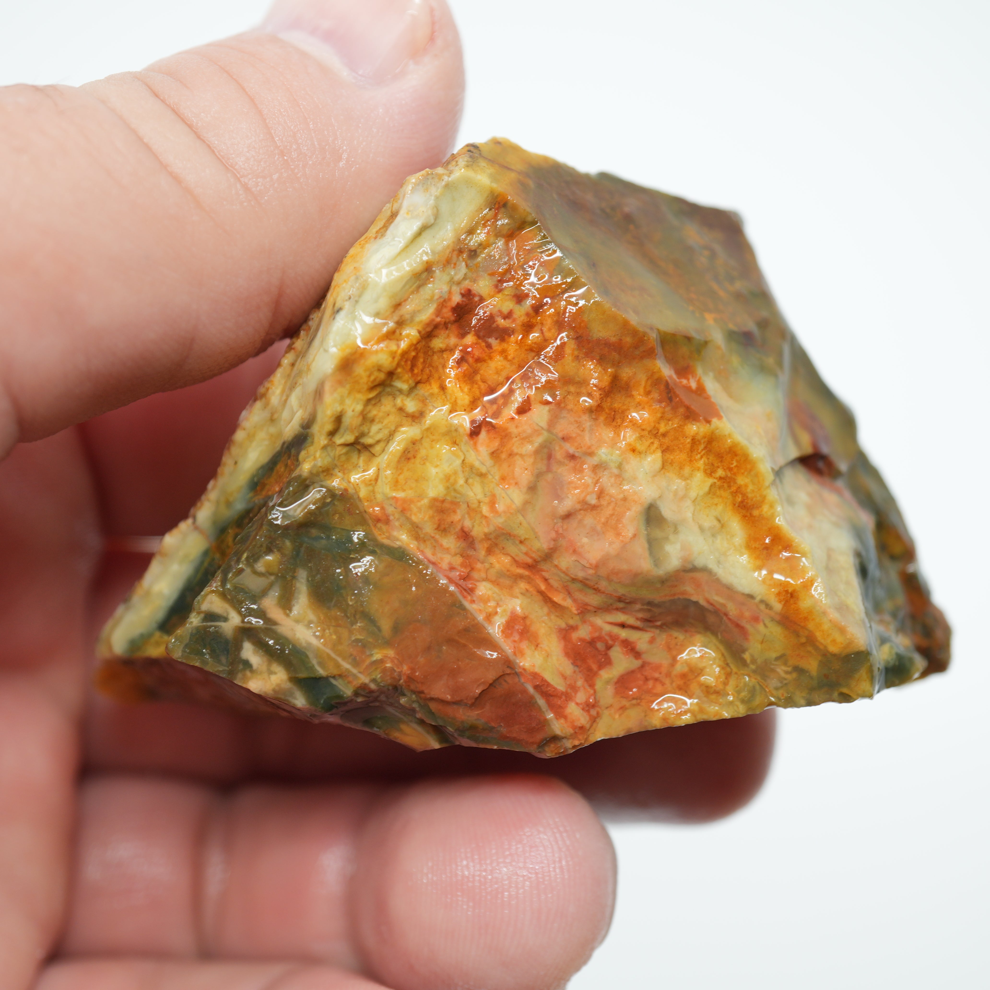 Morrisonite Jasper Rough - Unique Streamer Pattern Under Skin