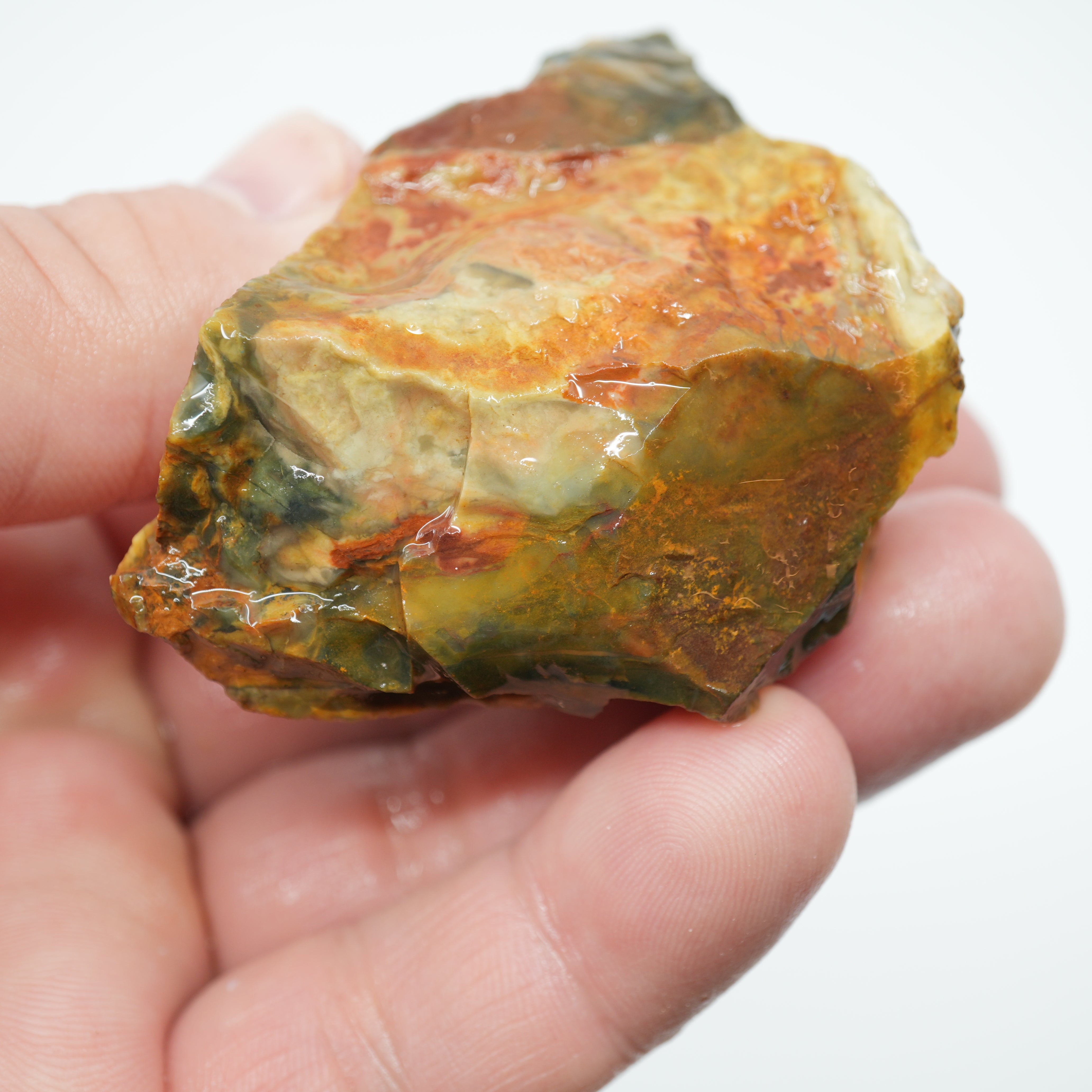Morrisonite Jasper Rough - Unique Streamer Pattern Under Skin