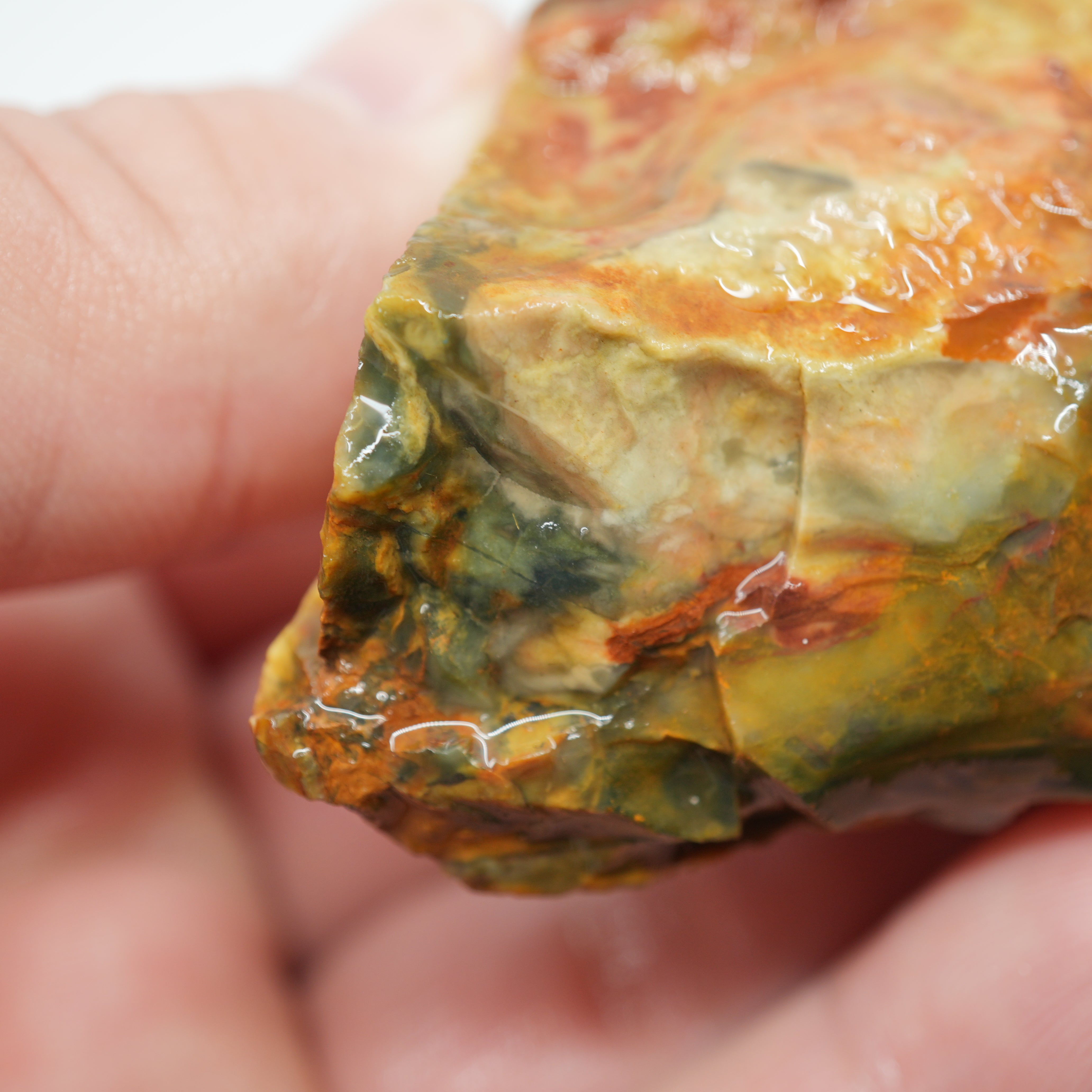Morrisonite Jasper Rough - Unique Streamer Pattern Under Skin