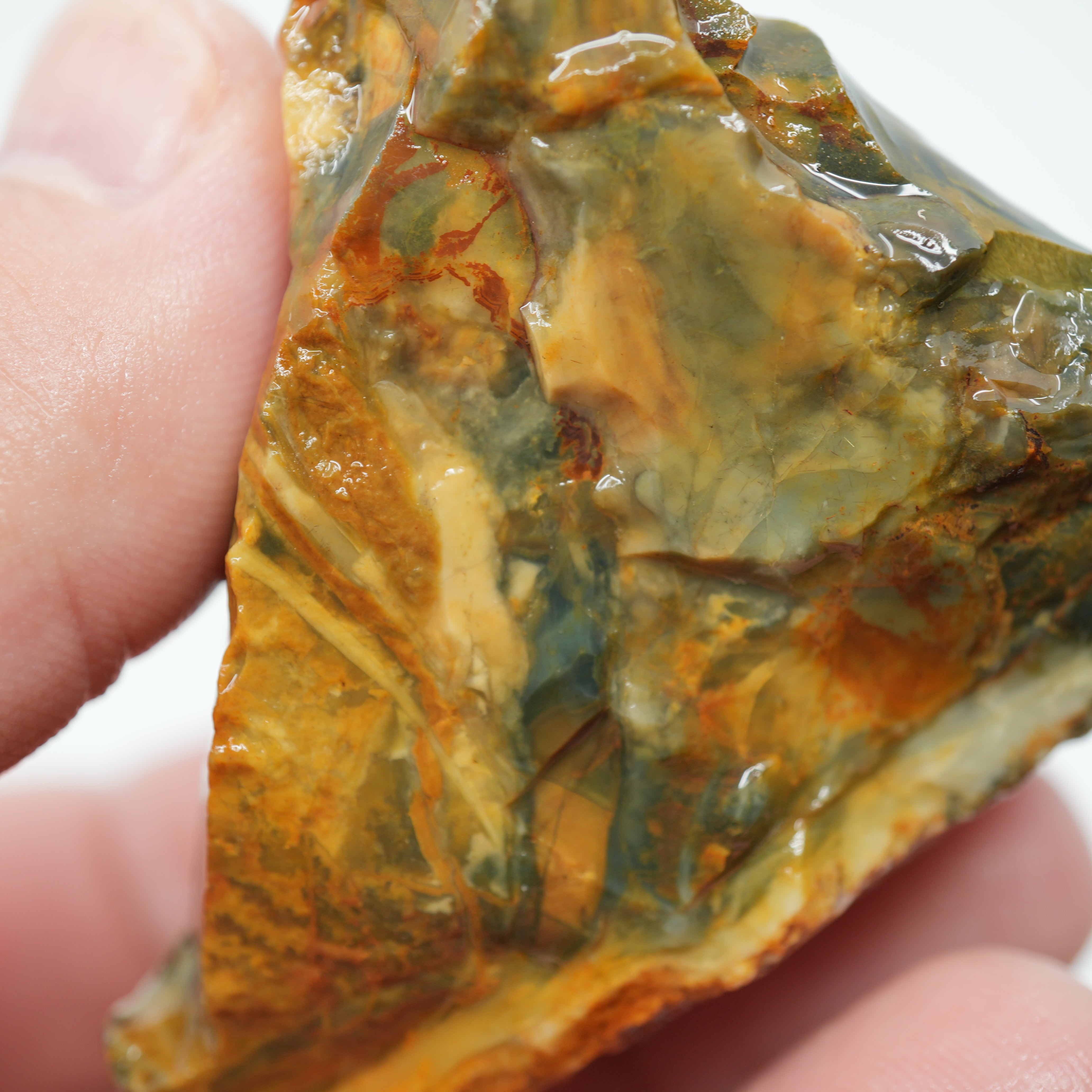 Morrisonite Jasper Rough - Unique Streamer Pattern Under Skin