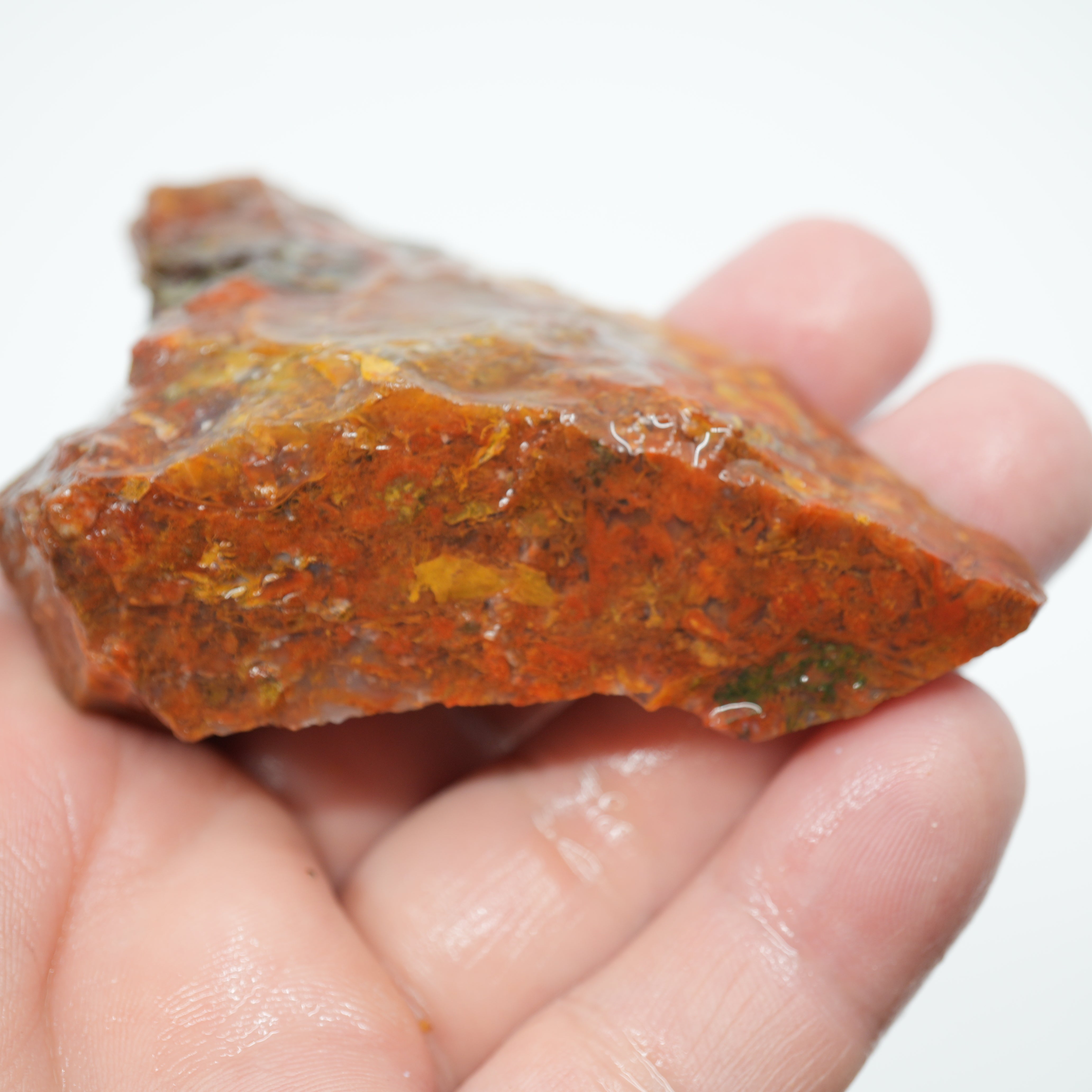 Maury Mountain Moss Agate Rough - Golden and Red Moss Old Stock