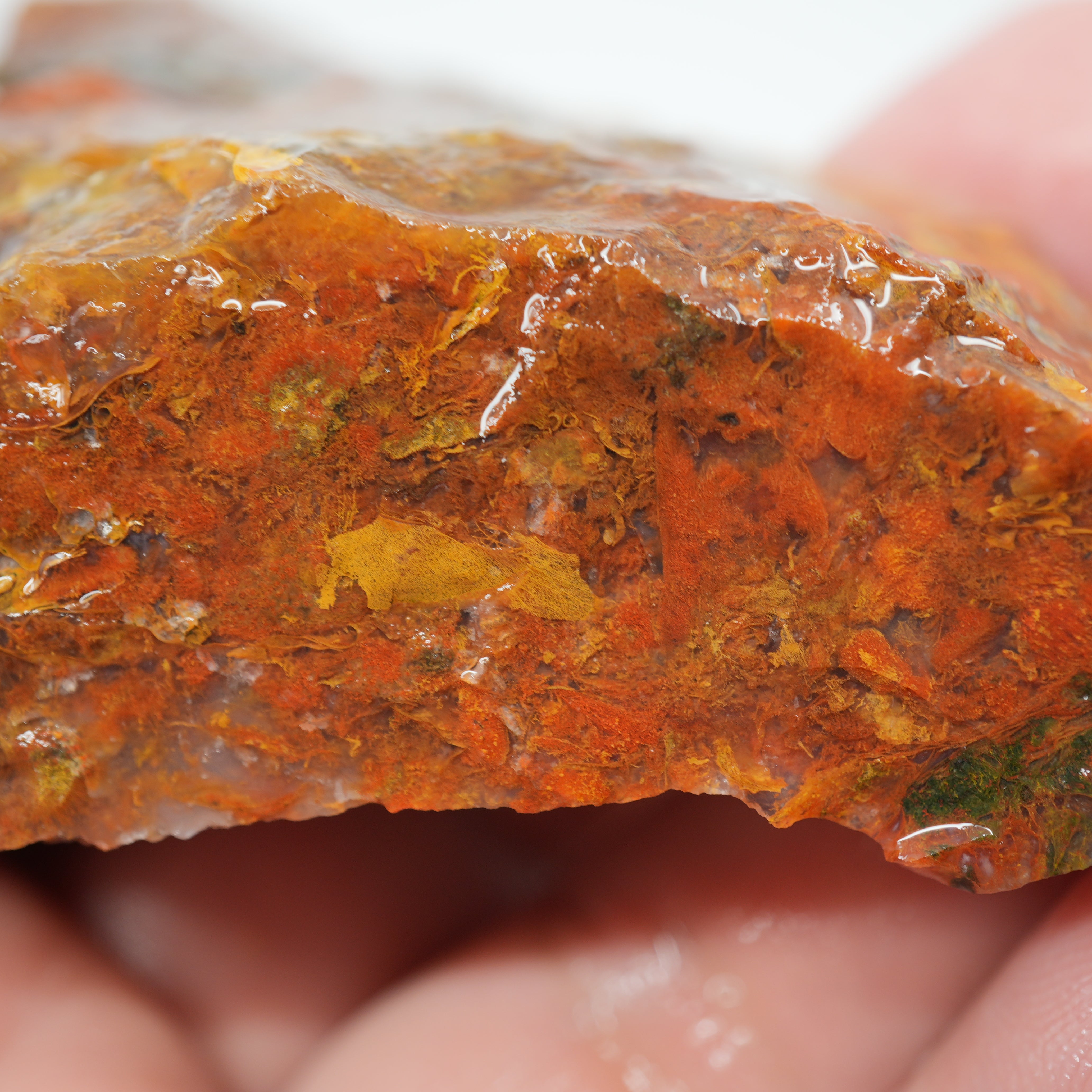 Maury Mountain Moss Agate Rough - Golden and Red Moss Old Stock