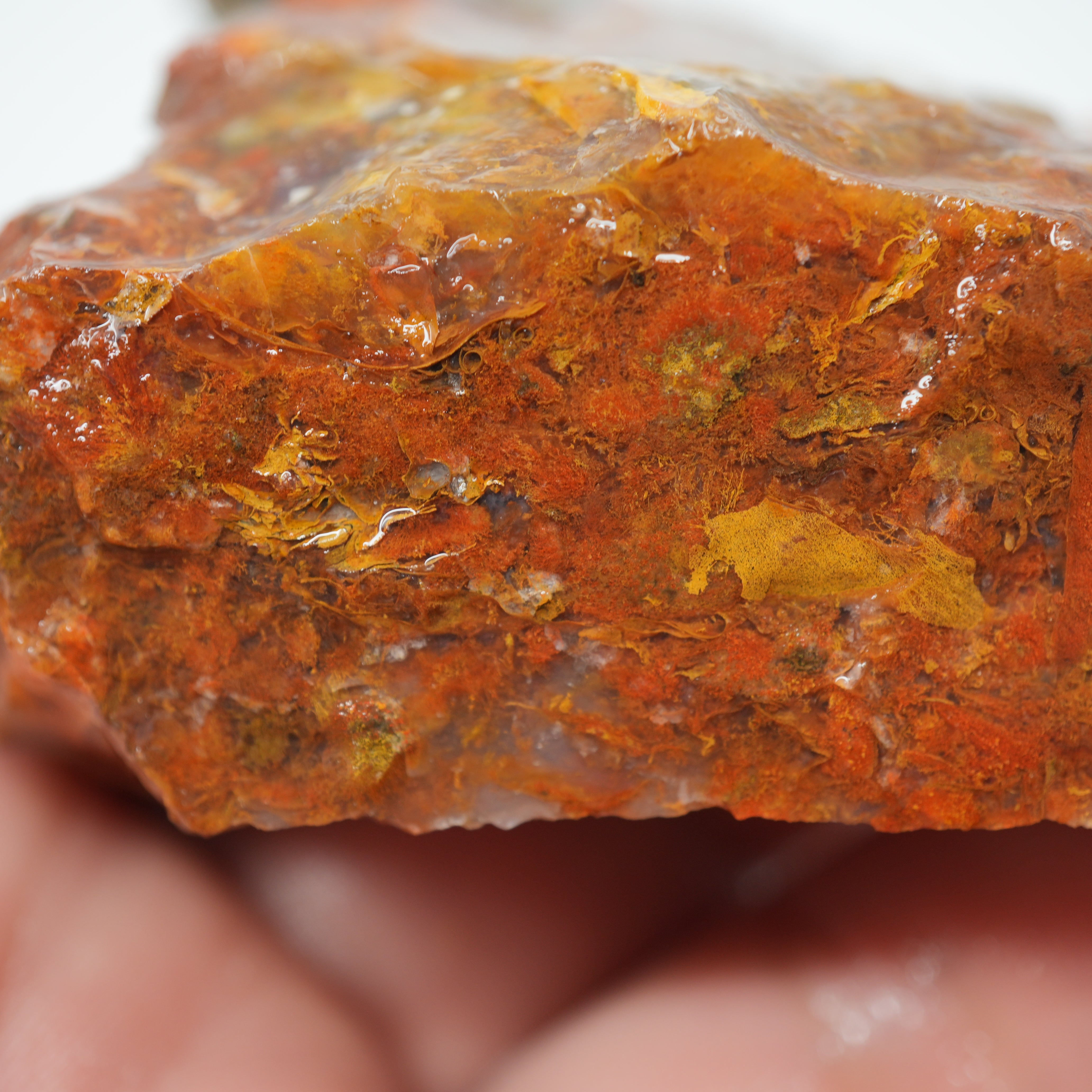 Maury Mountain Moss Agate Rough - Golden and Red Moss Old Stock