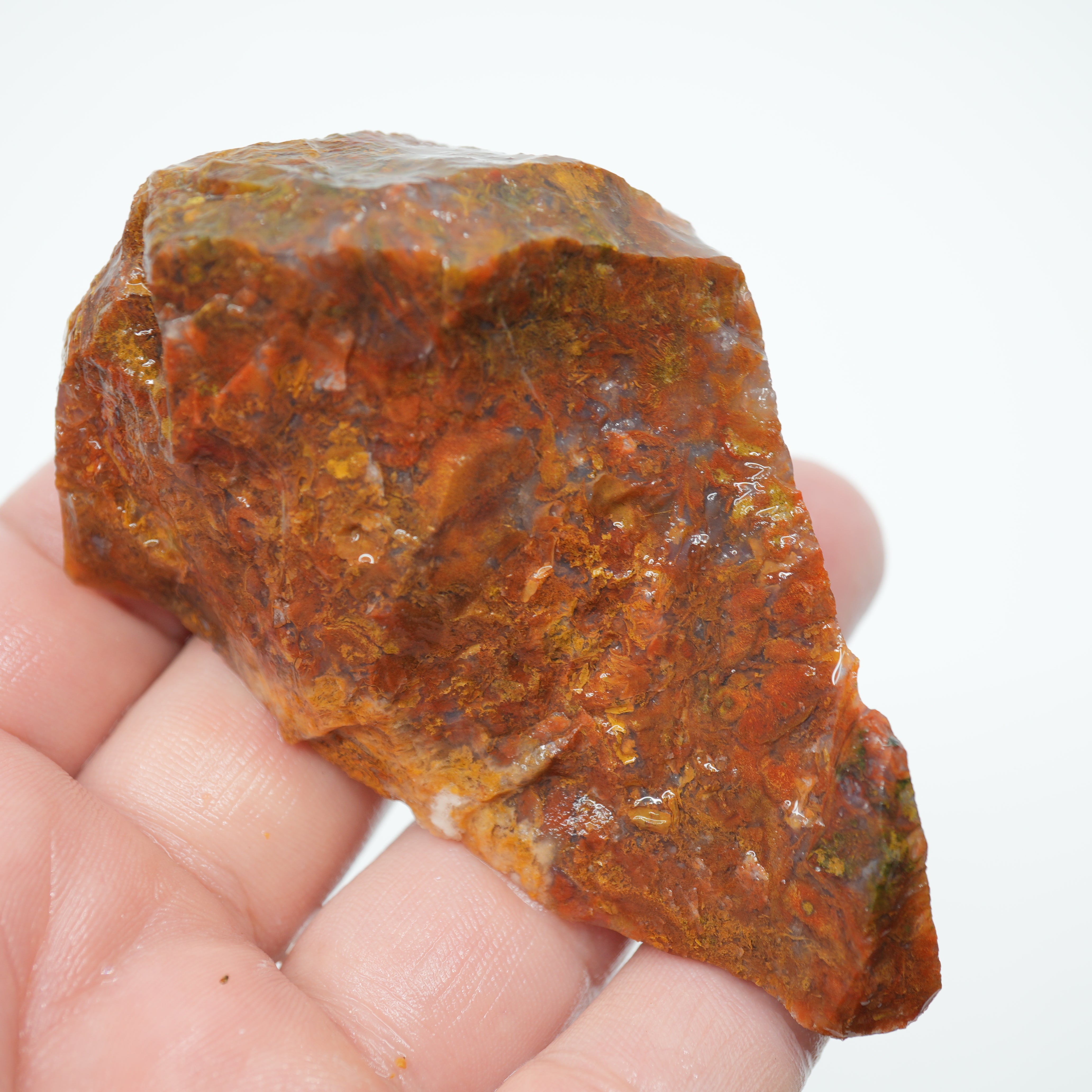 Maury Mountain Moss Agate Rough - Golden and Red Moss Old Stock