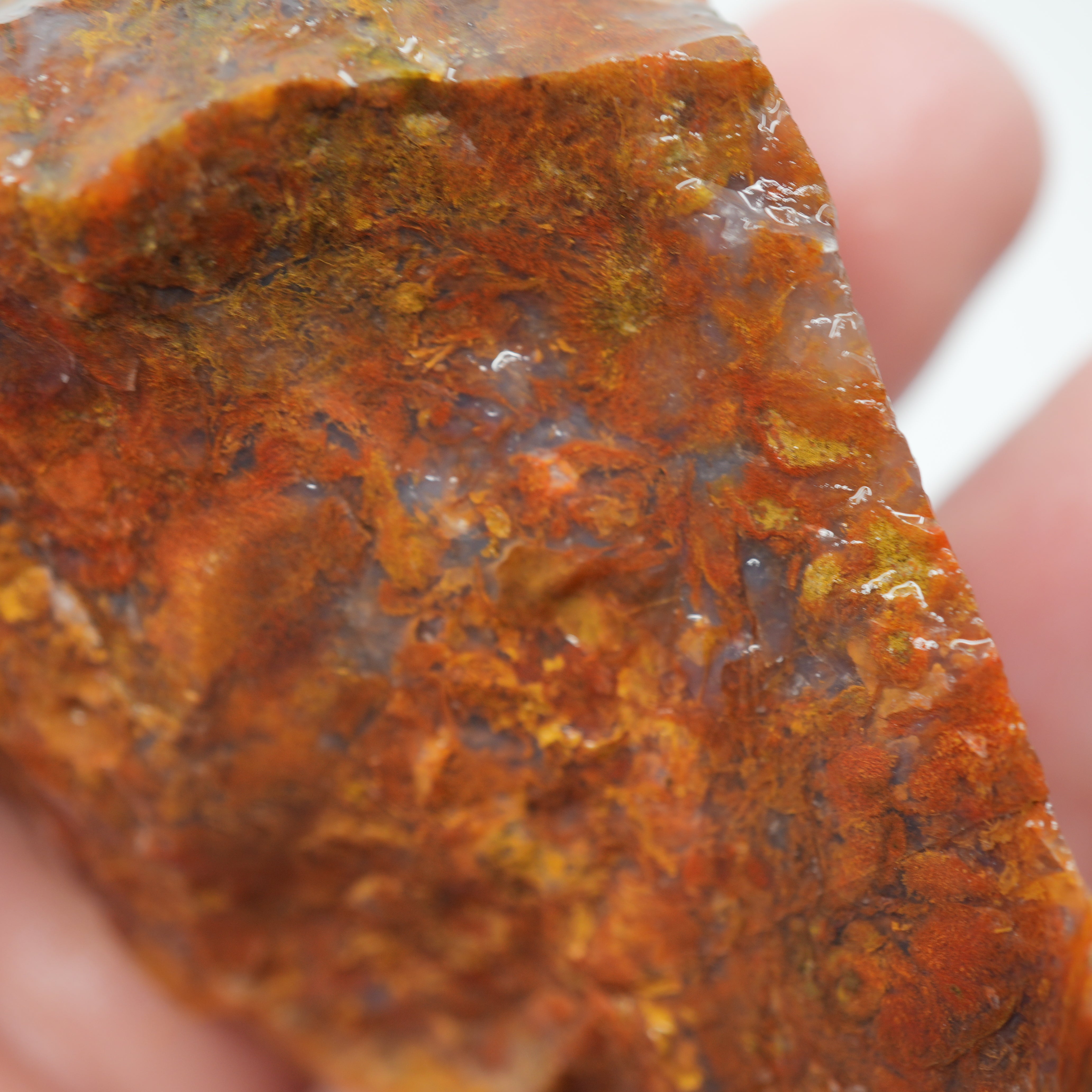 Maury Mountain Moss Agate Rough - Golden and Red Moss Old Stock