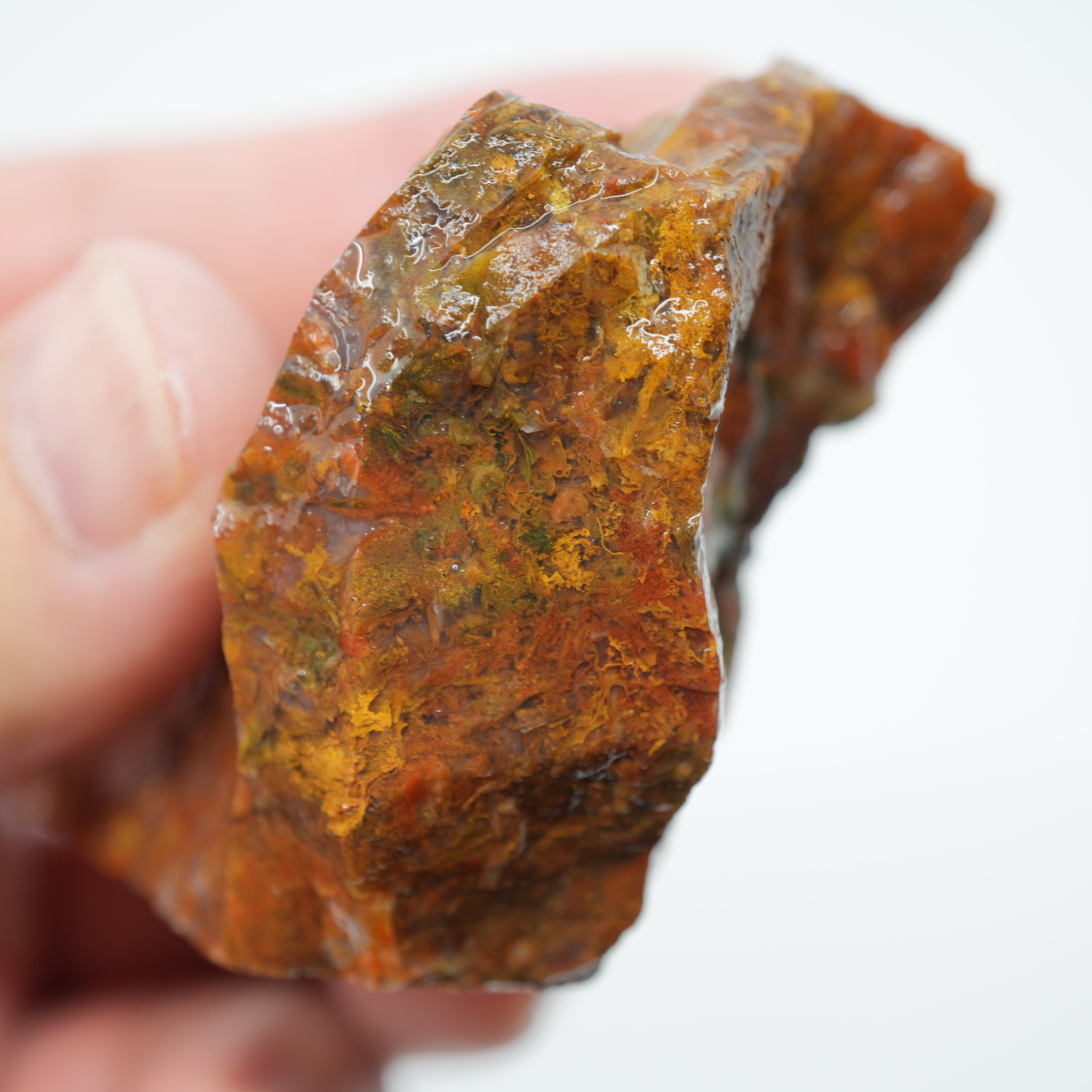 Maury Mountain Moss Agate Rough - Golden and Red Moss Old Stock