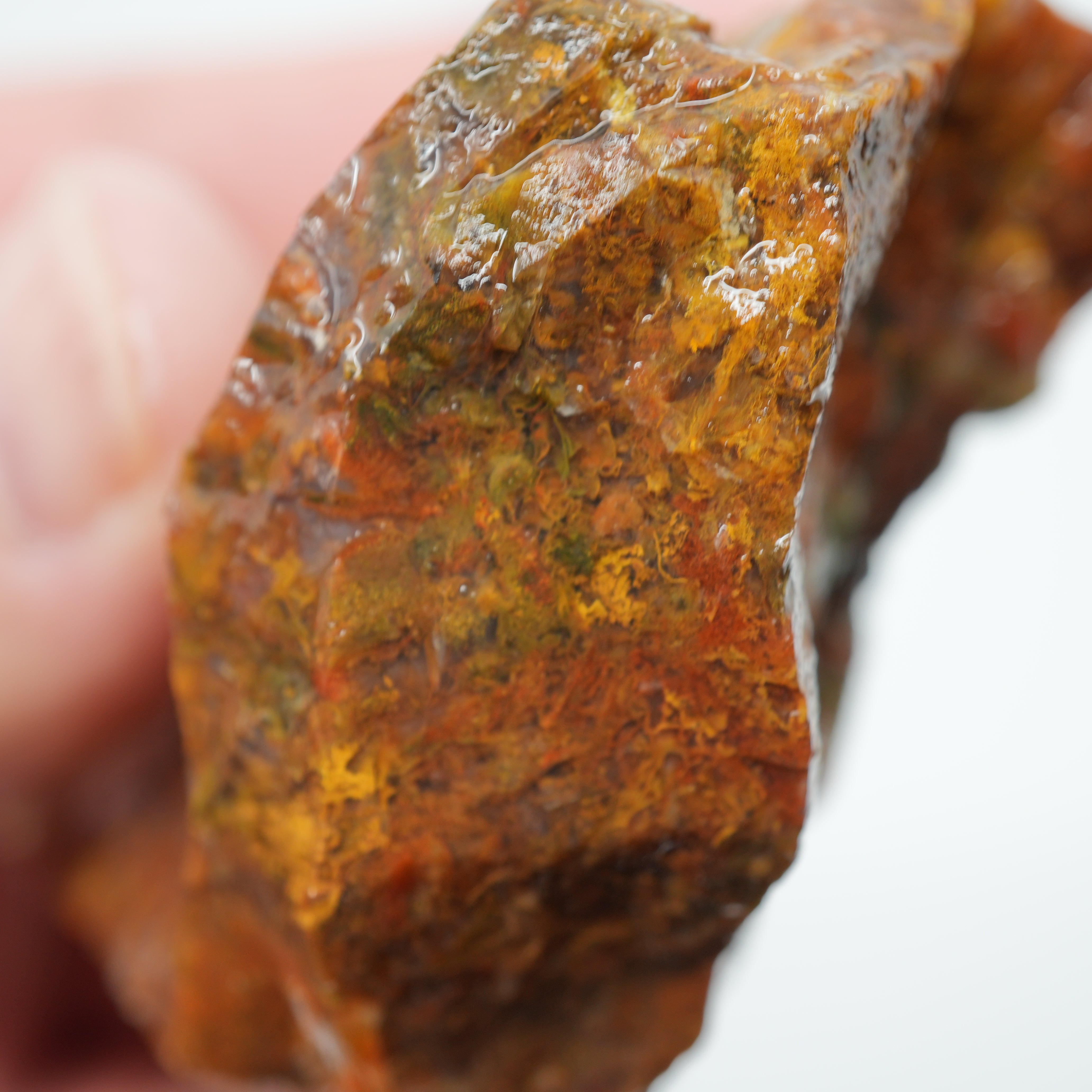 Maury Mountain Moss Agate Rough - Golden and Red Moss Old Stock