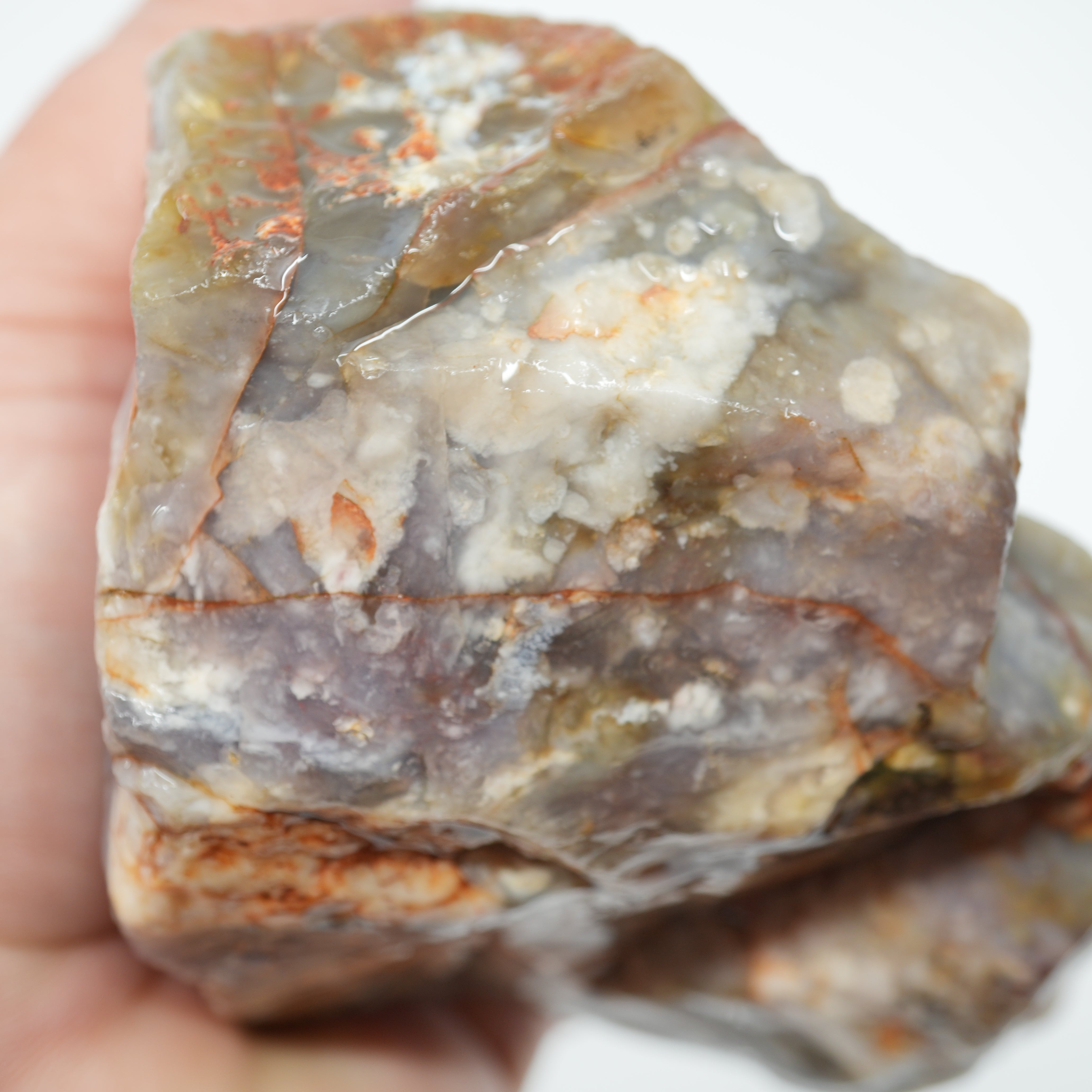 Coprolite Rough - Unique Light Purple Coloration Utah Old Stock