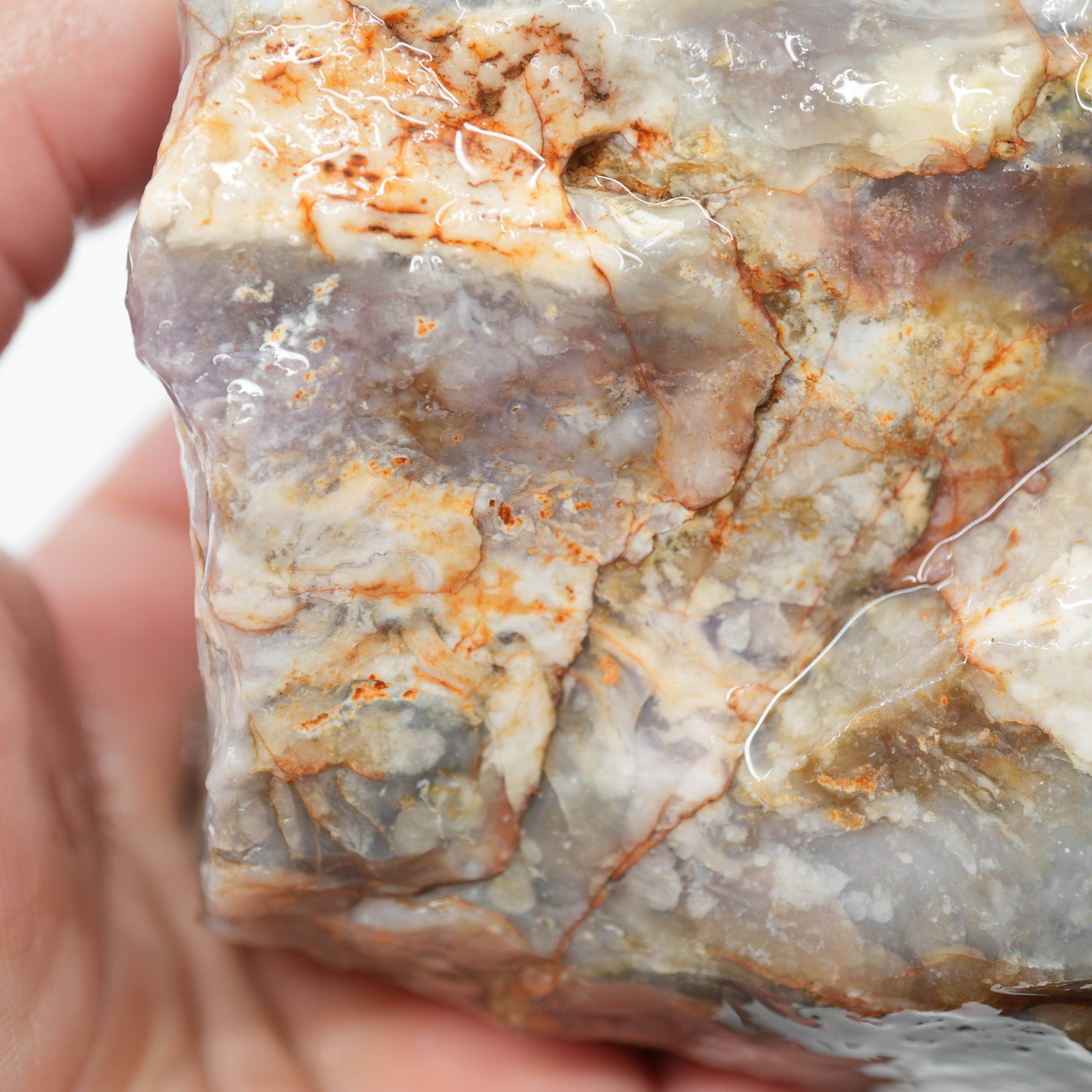 Coprolite Rough - Unique Light Purple Coloration Utah Old Stock
