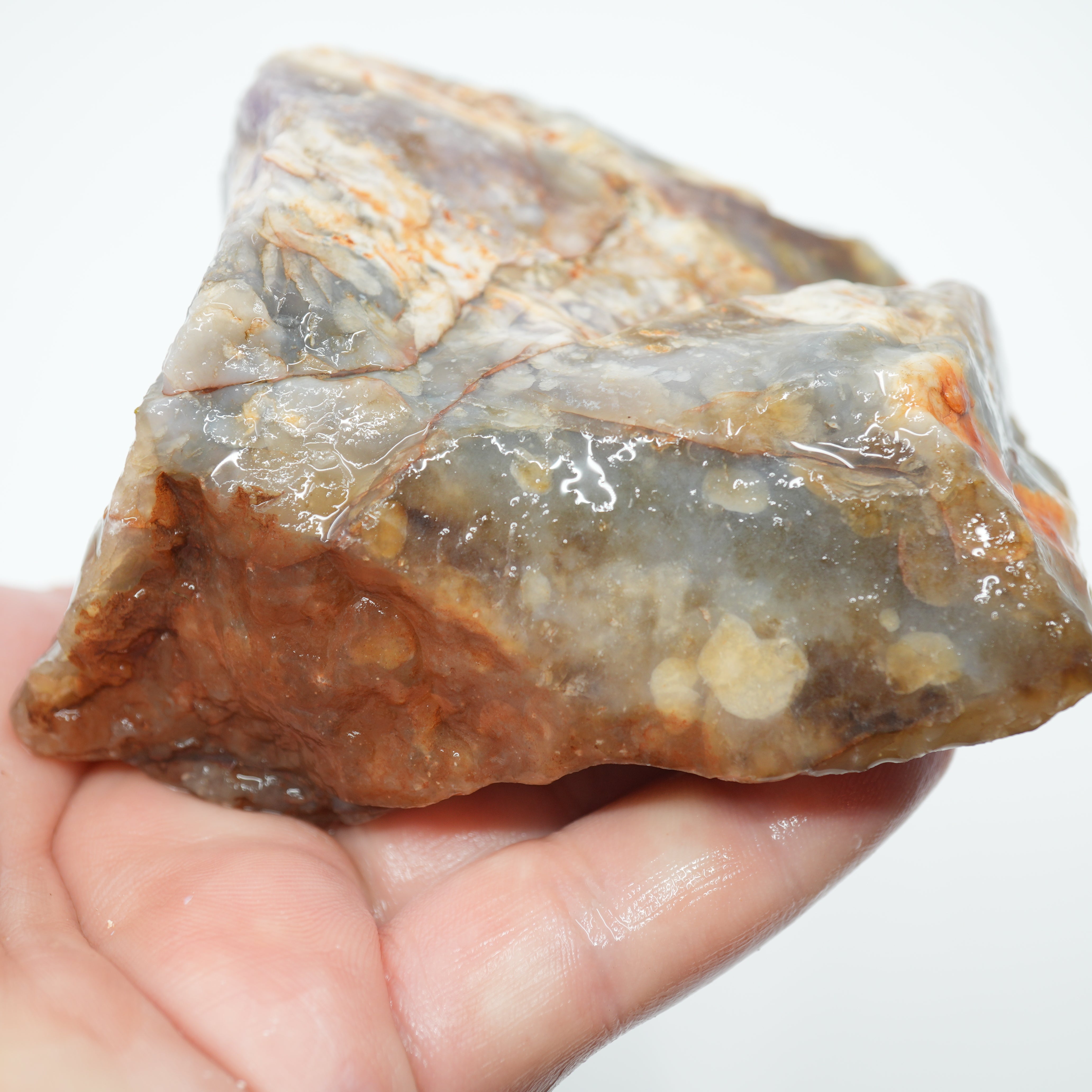 Coprolite Rough - Unique Light Purple Coloration Utah Old Stock
