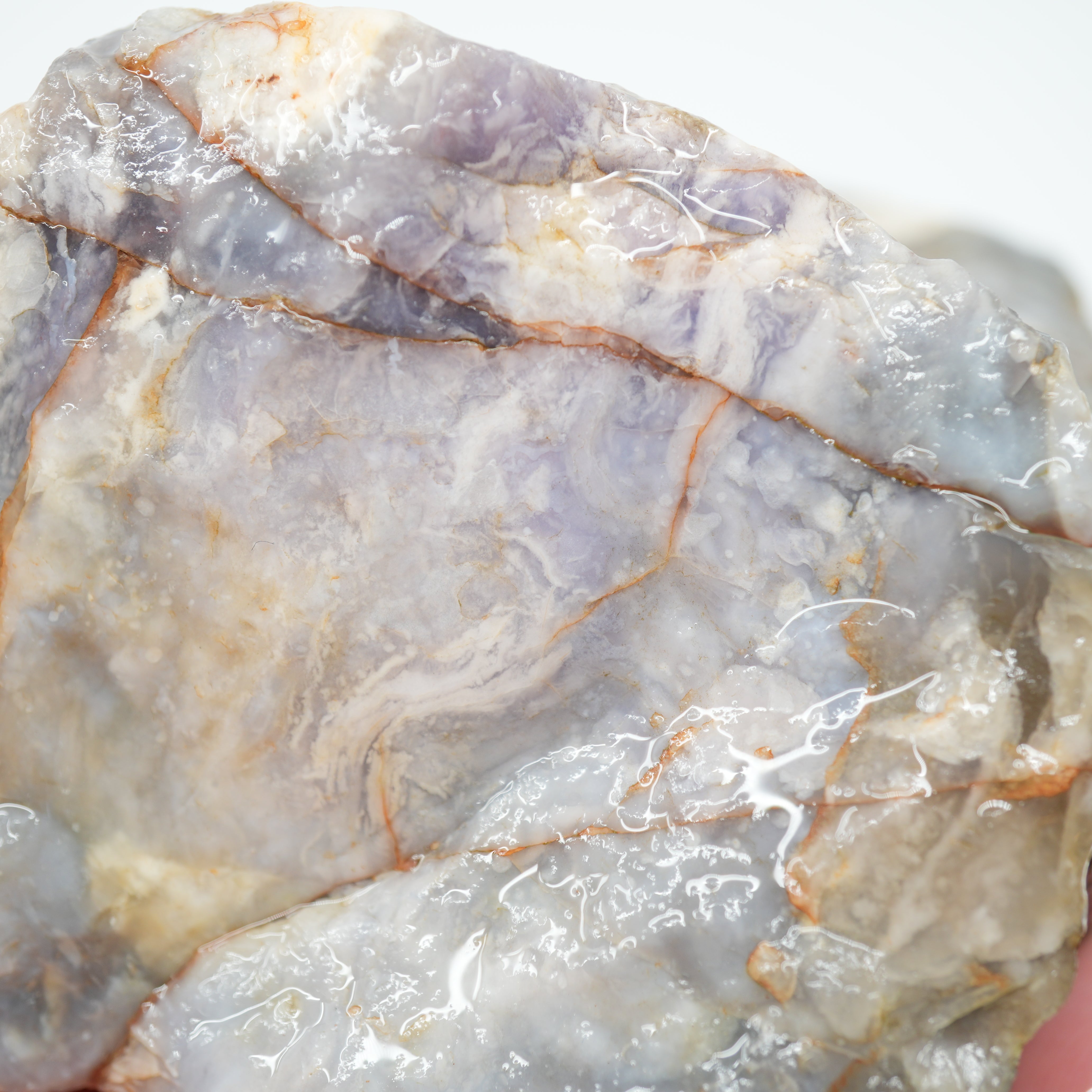 Coprolite Rough - Unique Light Purple Coloration Utah Old Stock