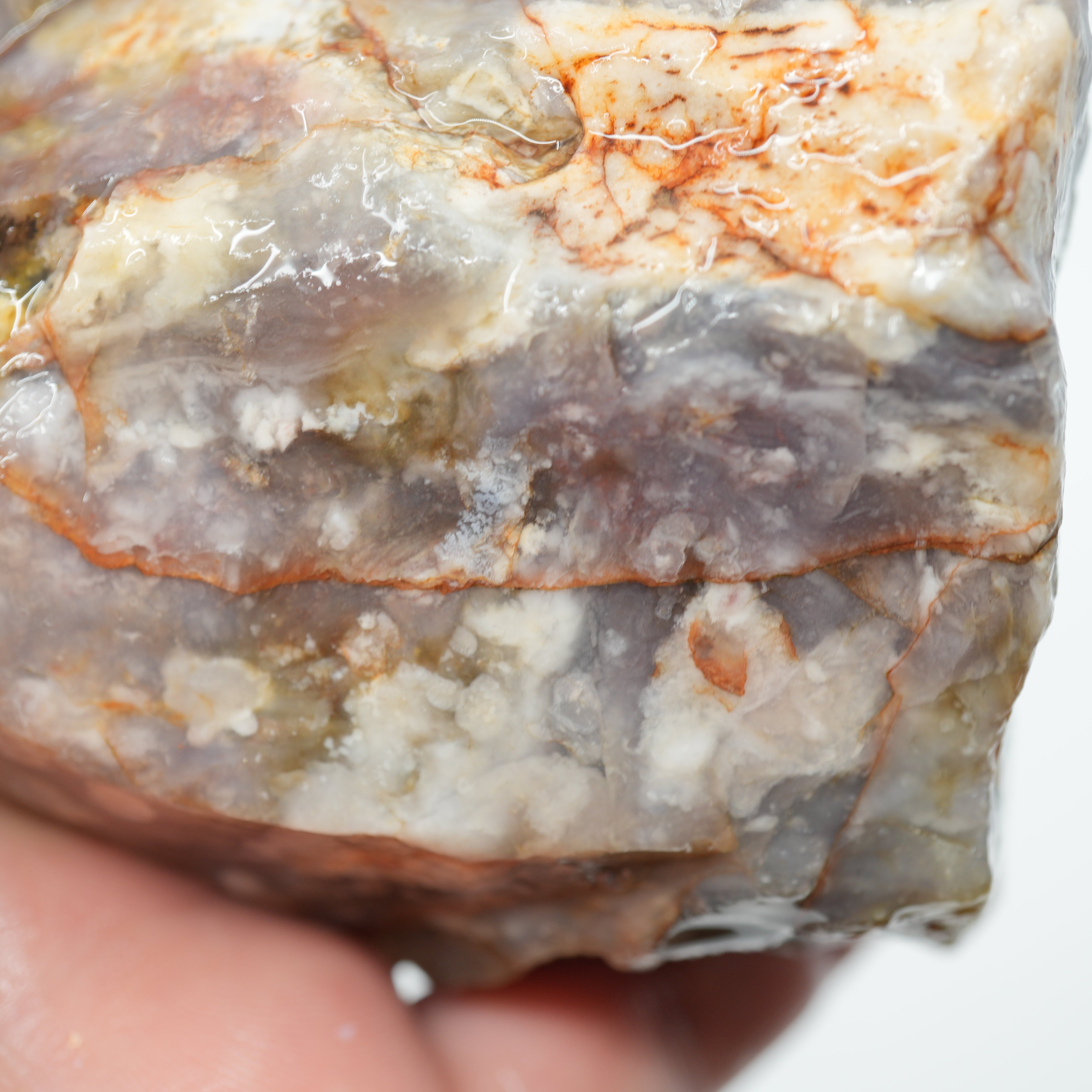 Coprolite Rough - Unique Light Purple Coloration Utah Old Stock