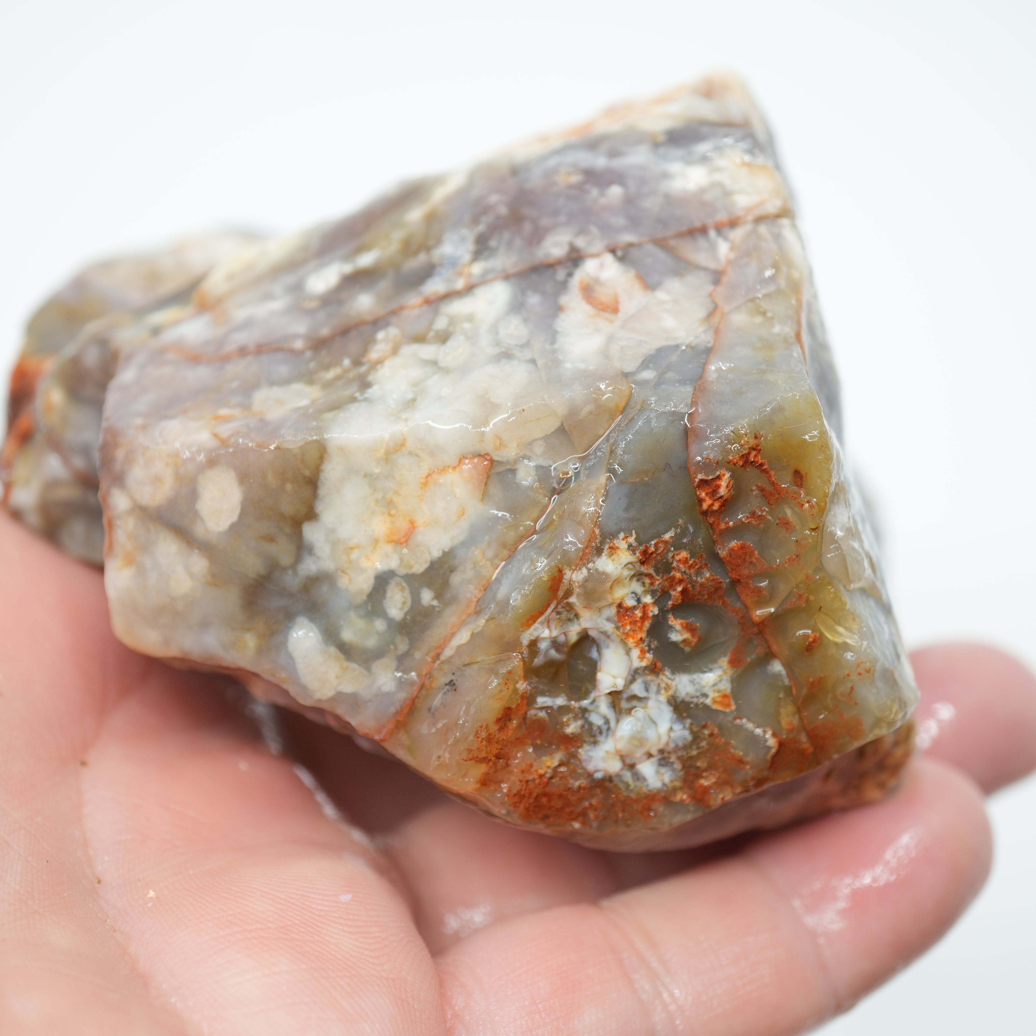 Coprolite Rough - Unique Light Purple Coloration Utah Old Stock