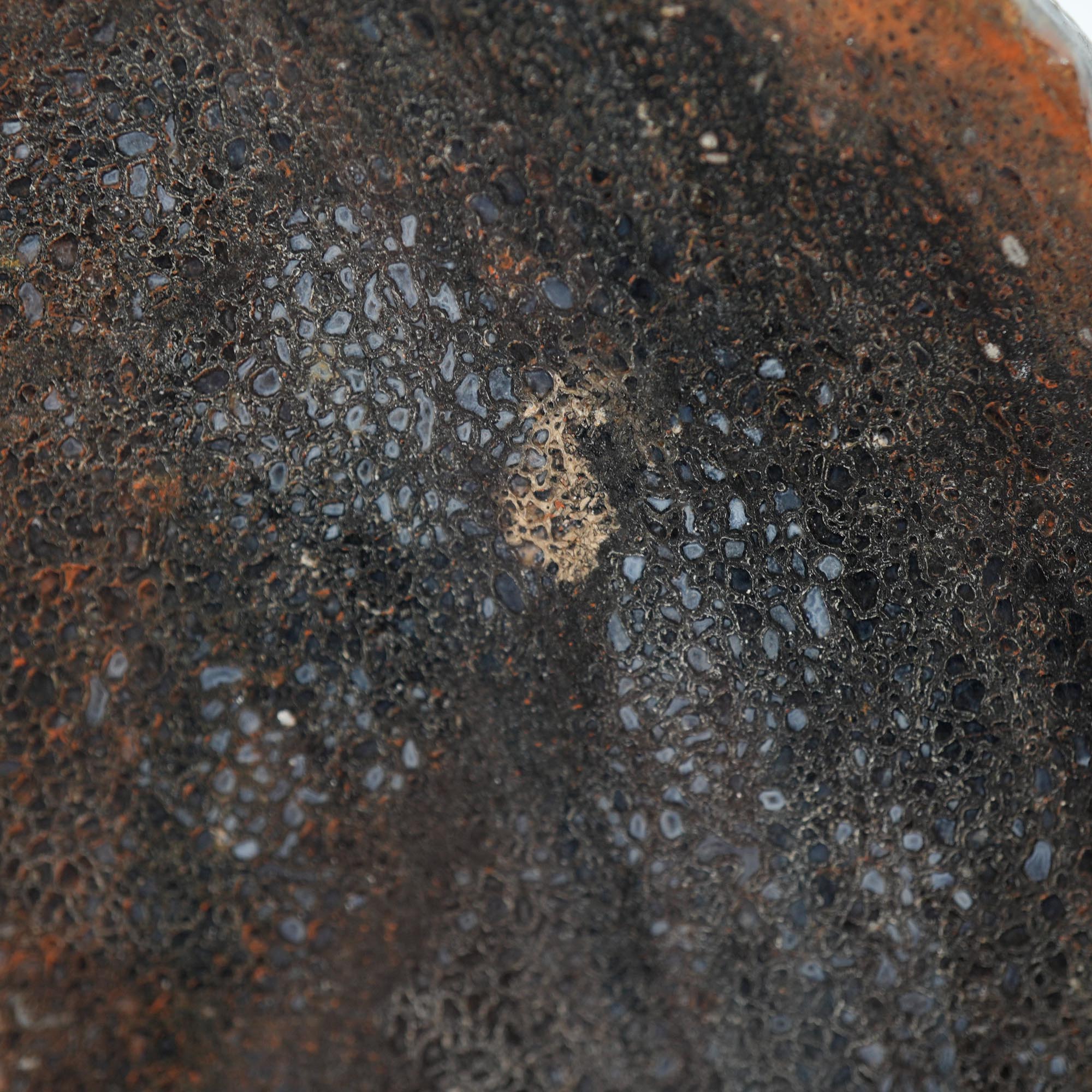 Gem Dinosaur Bone Endcut - Defined Cell Pattern Calcite Bone