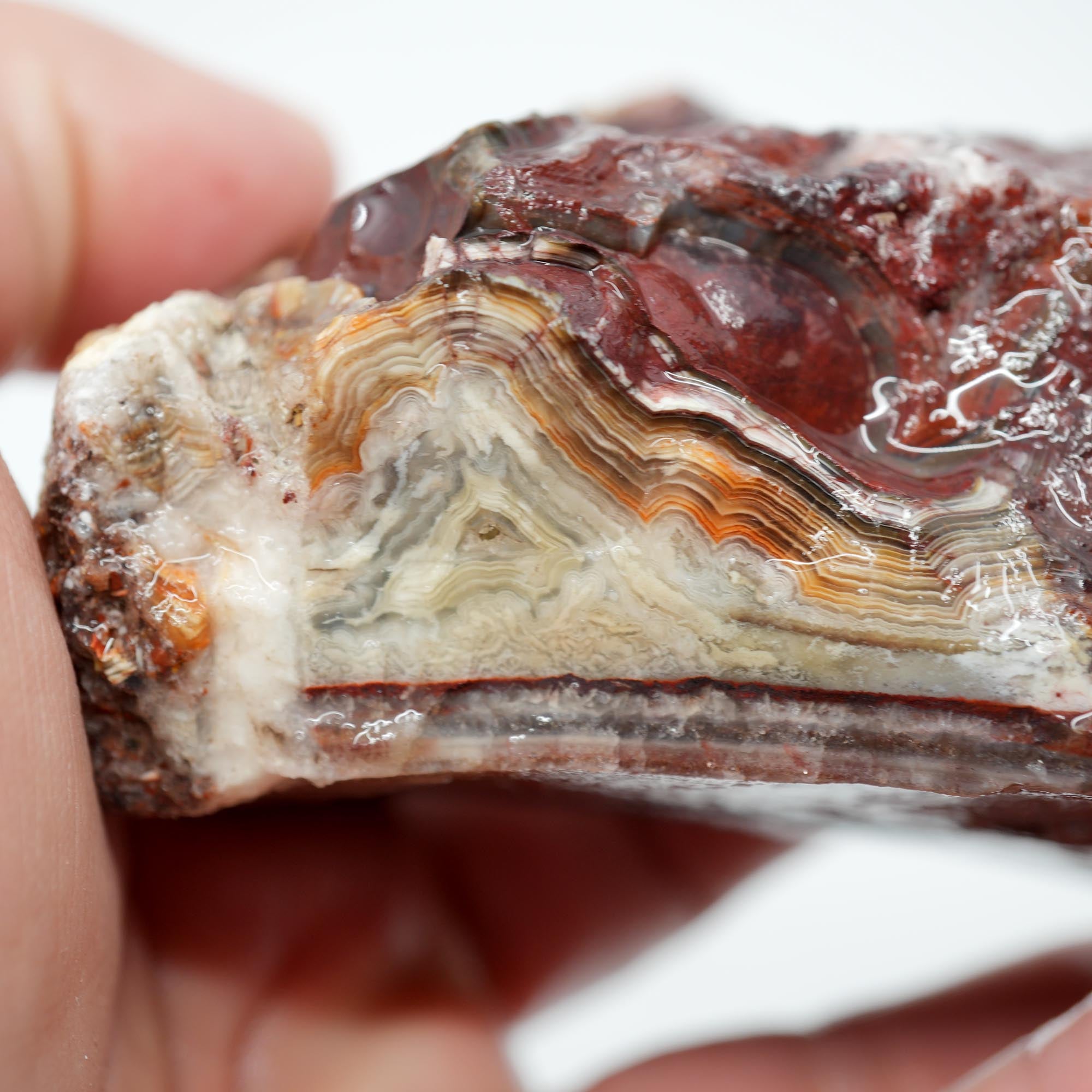 Laguna Lace Agate Endcut - Red White Green Lace with Tubes