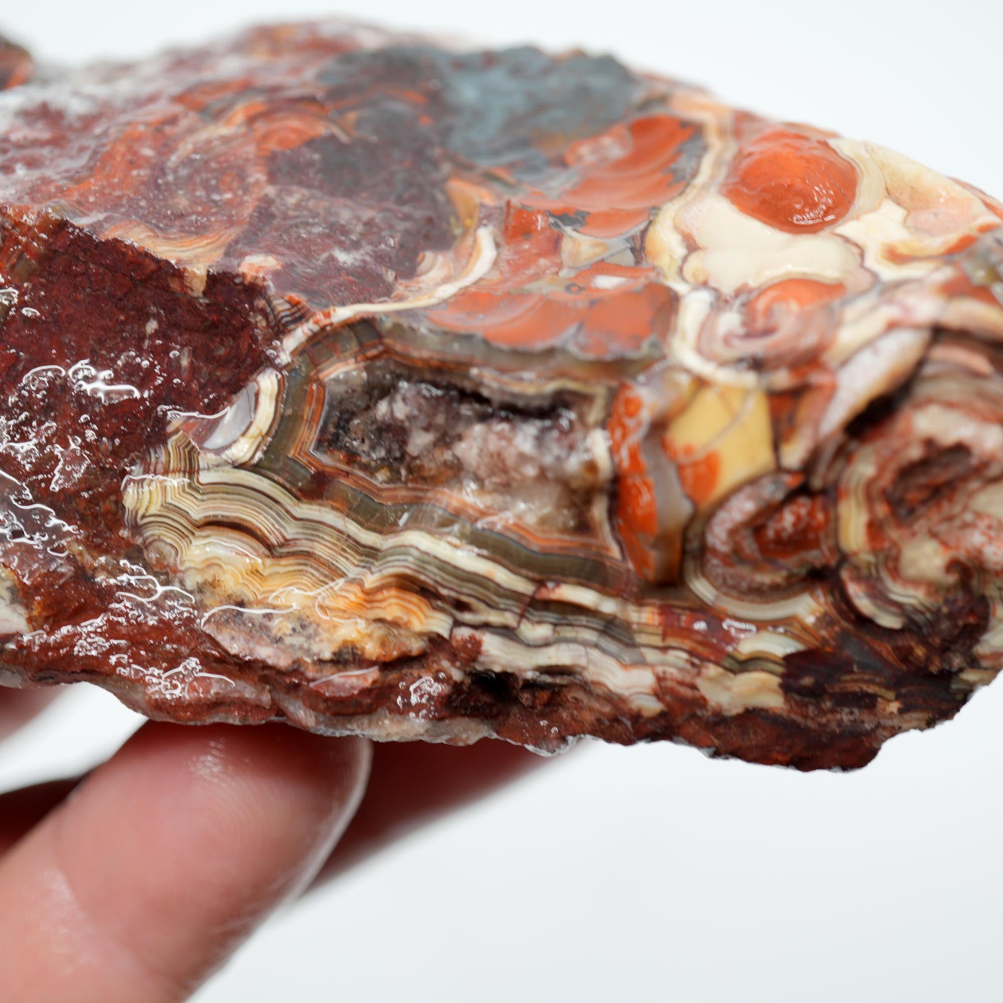 Laguna Lace Agate Endcut - Red White Green Lace with Tubes