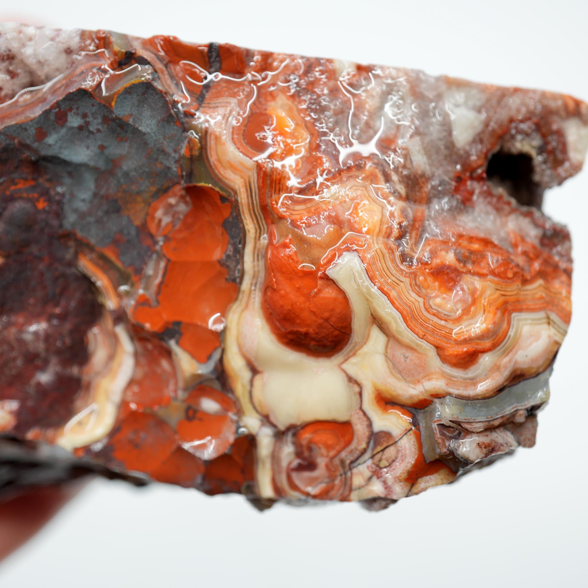Laguna Lace Agate Endcut - Red White Green Lace with Tubes