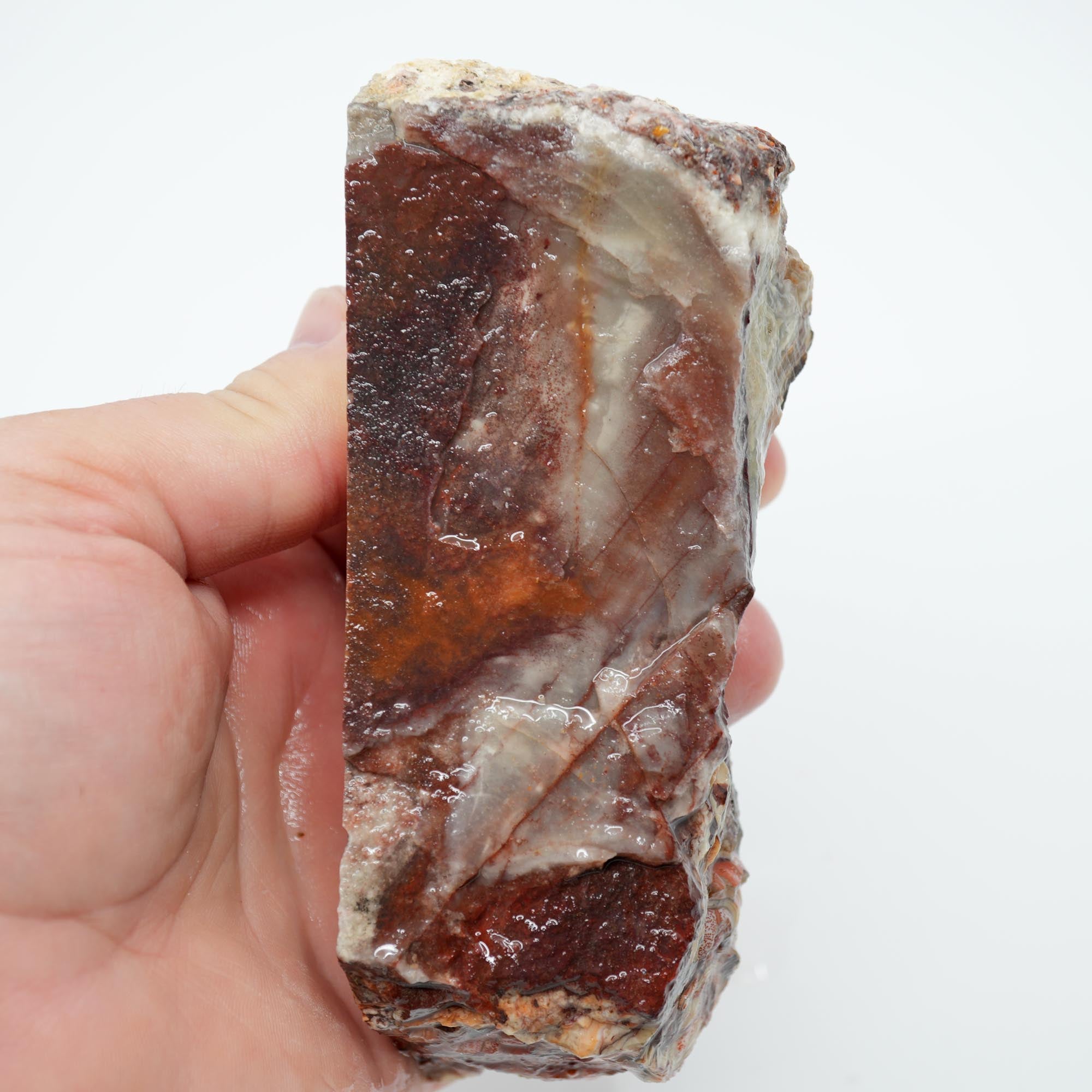 Laguna Lace Agate Endcut - Red White Green Lace with Tubes