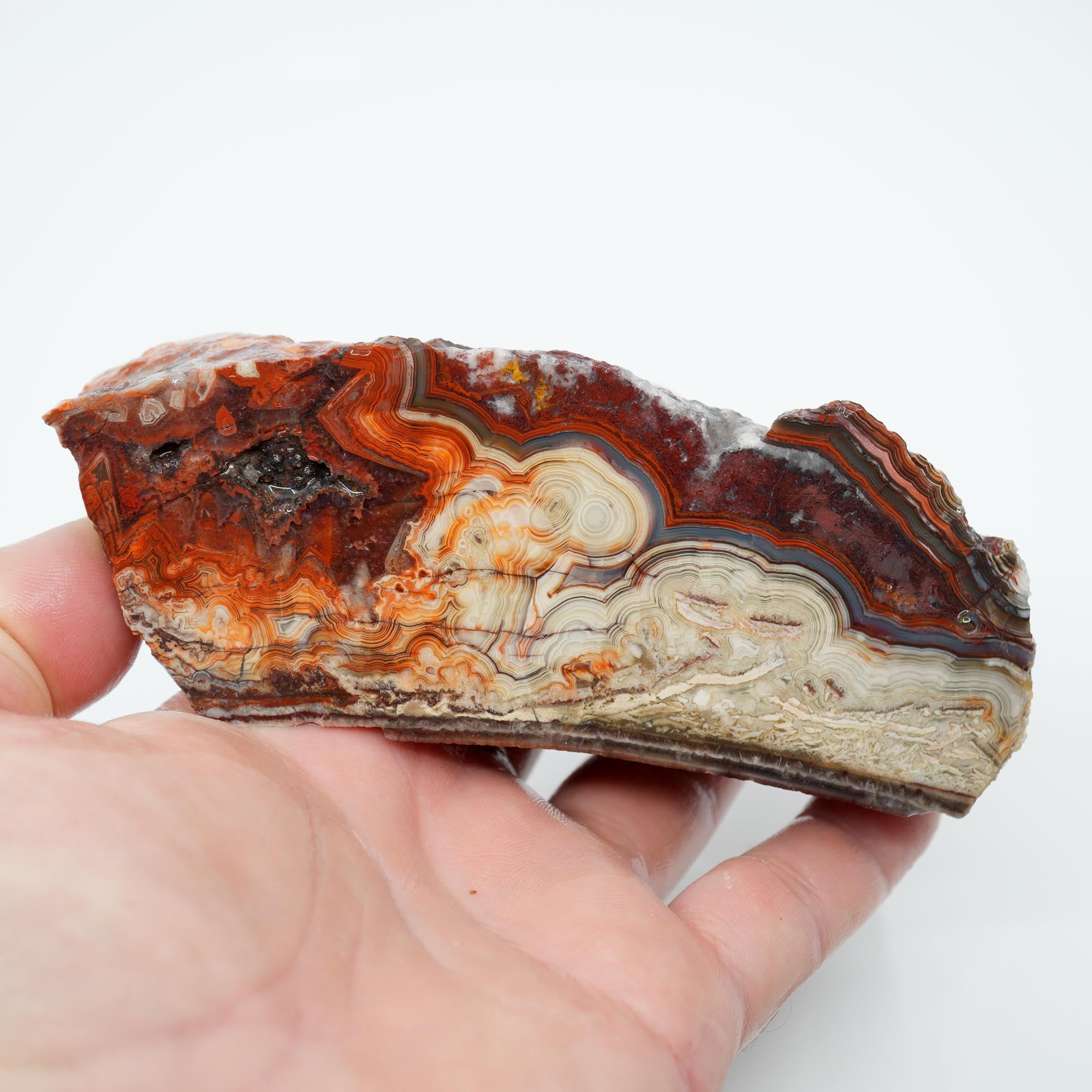 Laguna Lace Agate Endcut - Red White Green Lace with Tubes