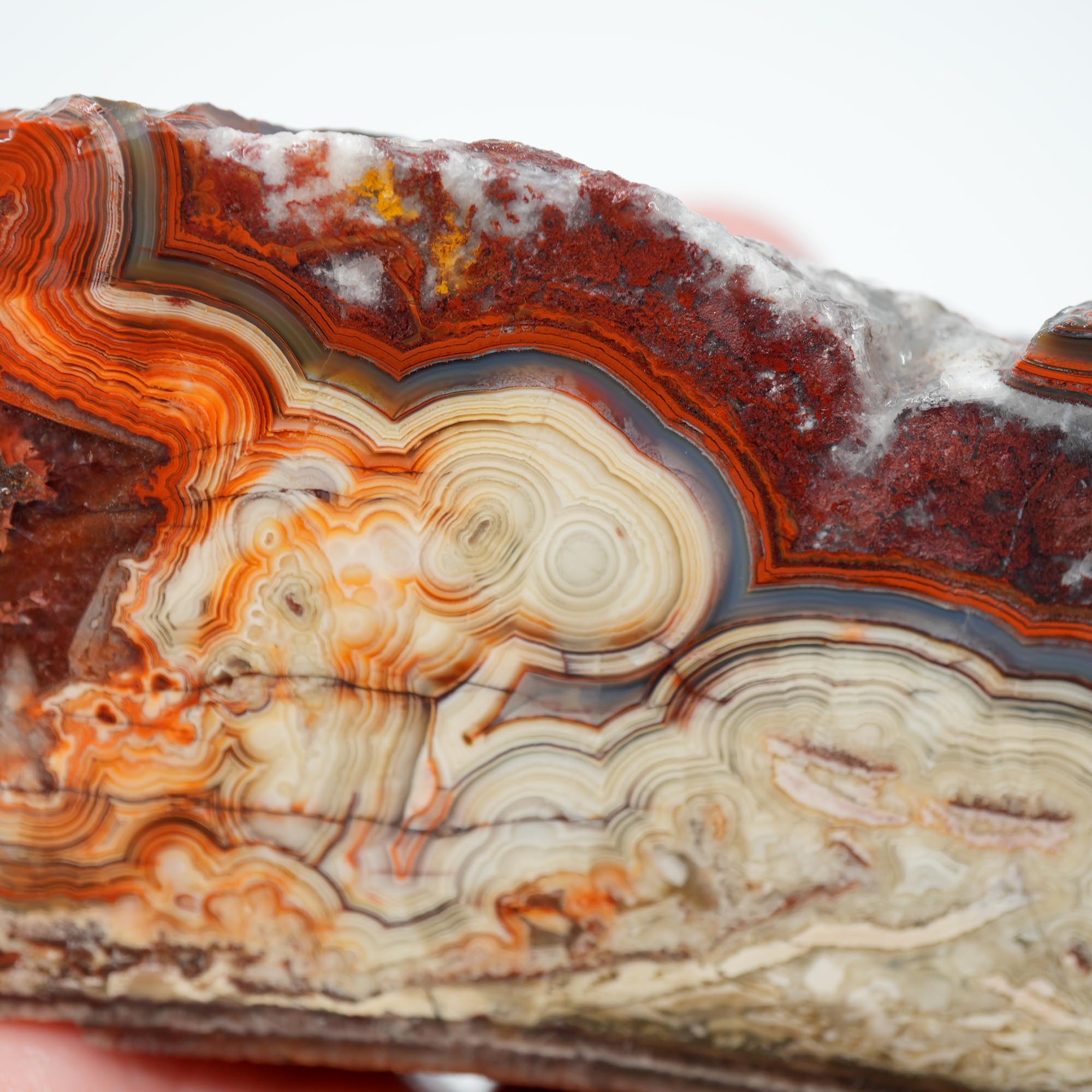 Laguna Lace Agate Endcut - Red White Green Lace with Tubes