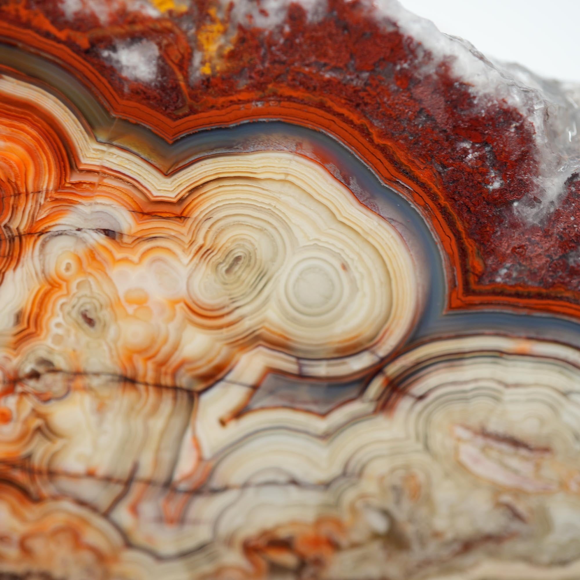 Laguna Lace Agate Endcut - Red White Green Lace with Tubes