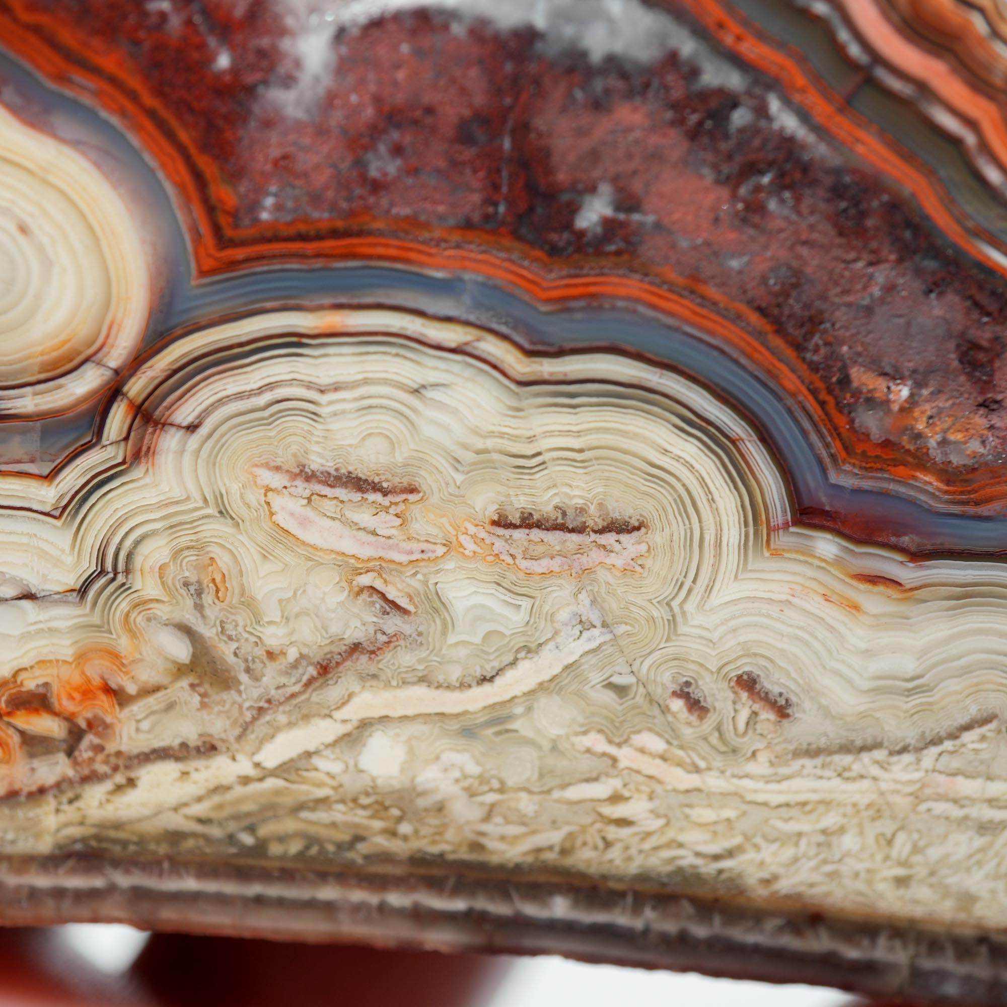 Laguna Lace Agate Endcut - Red White Green Lace with Tubes