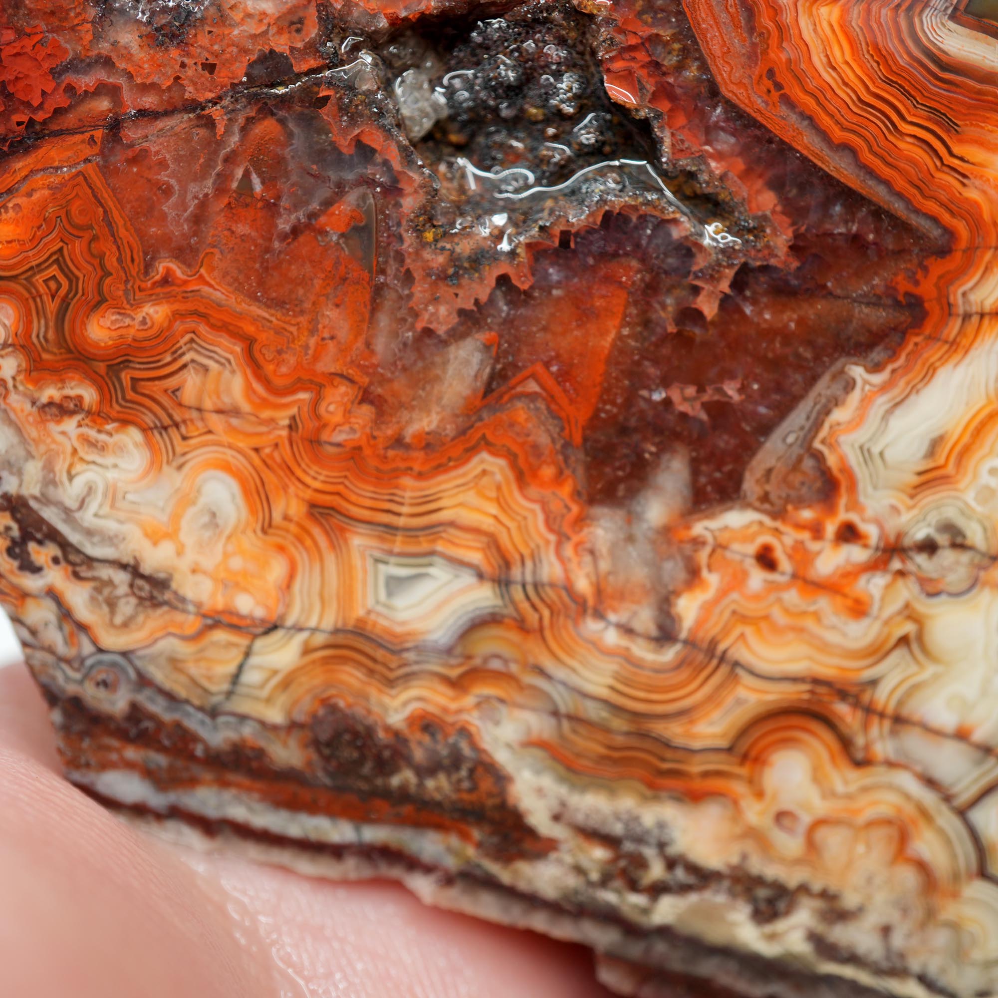 Laguna Lace Agate Endcut - Red White Green Lace with Tubes