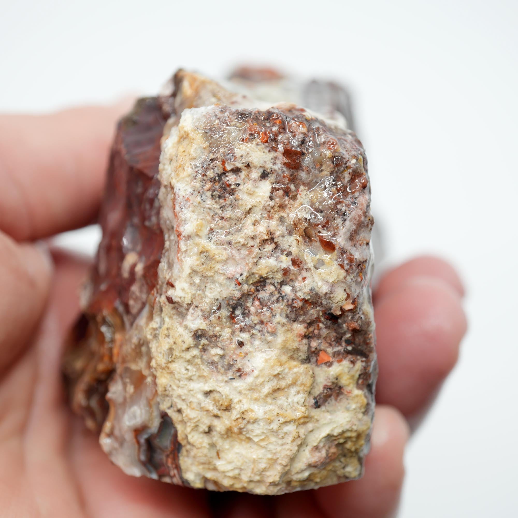 Laguna Lace Agate Endcut - Red White Green Lace with Tubes